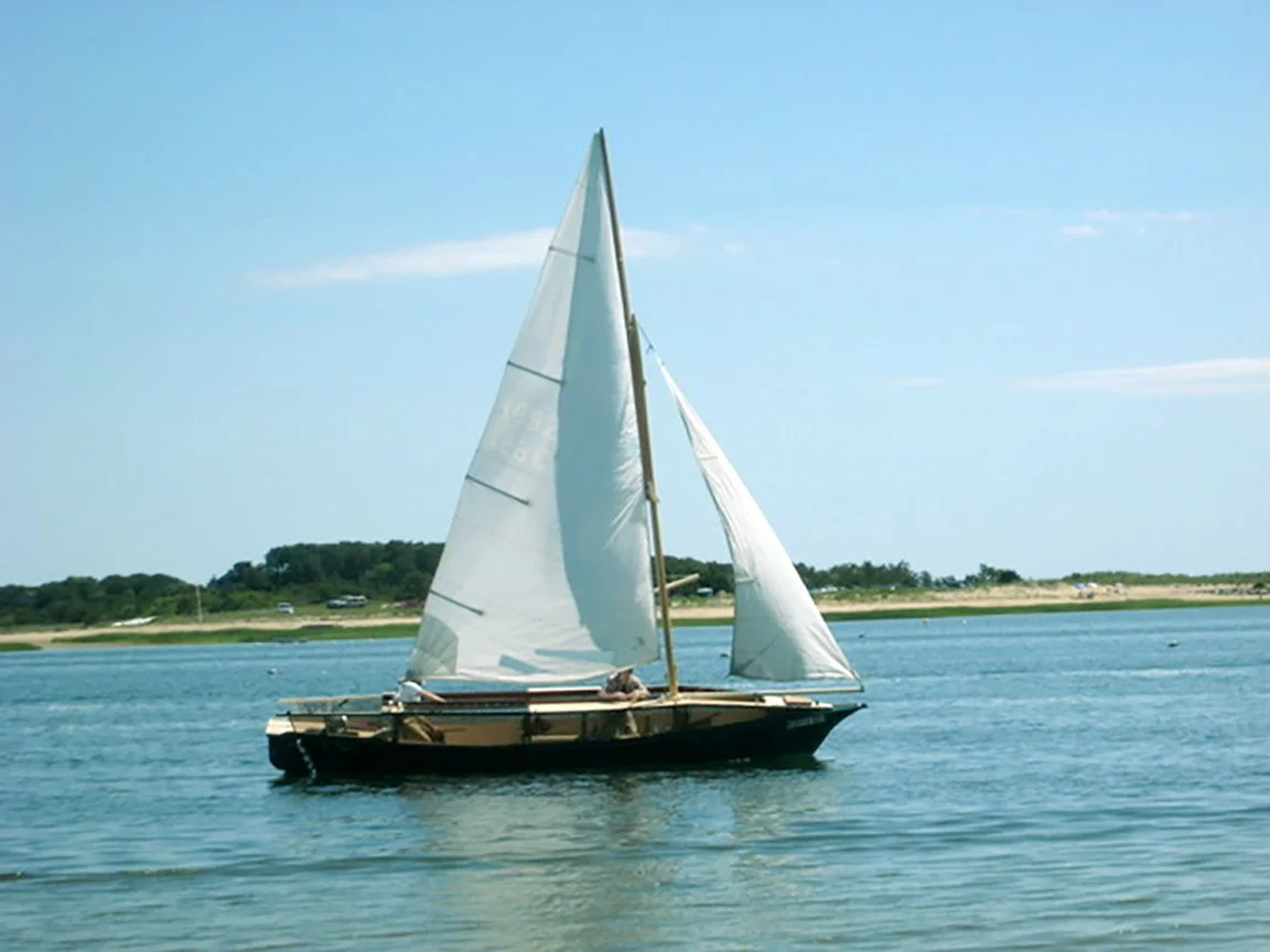 Narwhal sailing