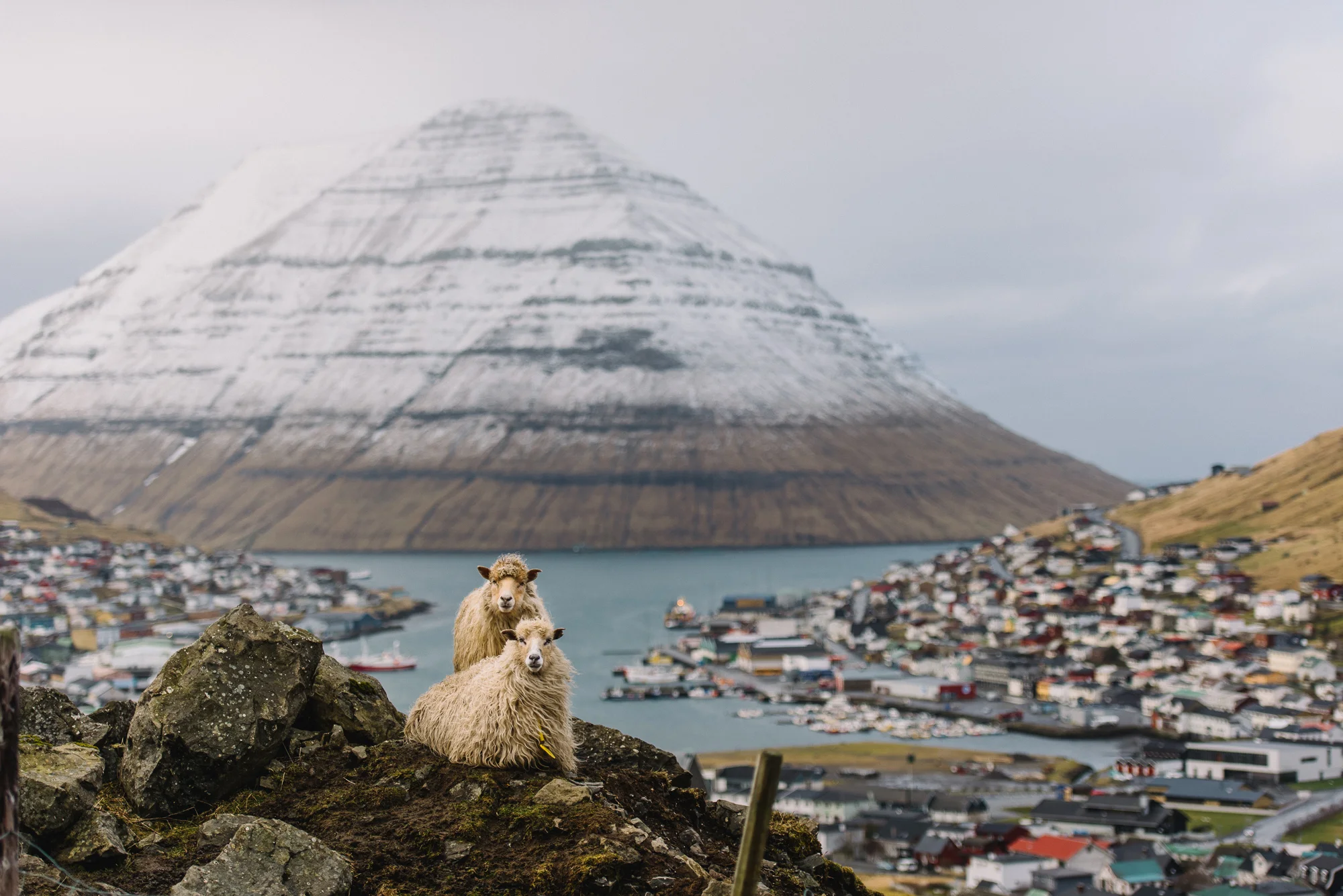 tony-r-hughes-faroe-islands-185129.jpg