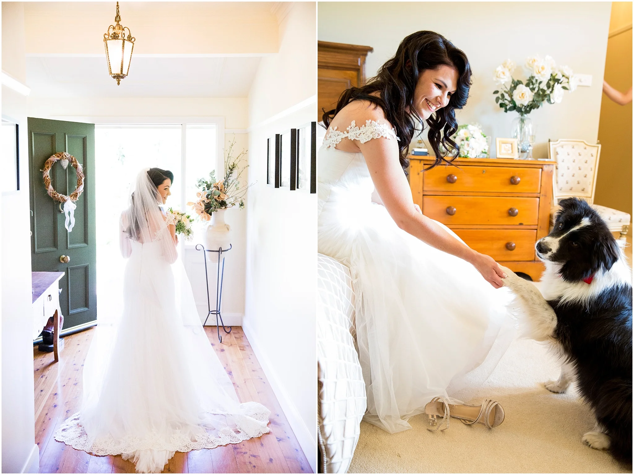 Bride in wedding dress with her dog before getting married at Grazing at Gundaroo.