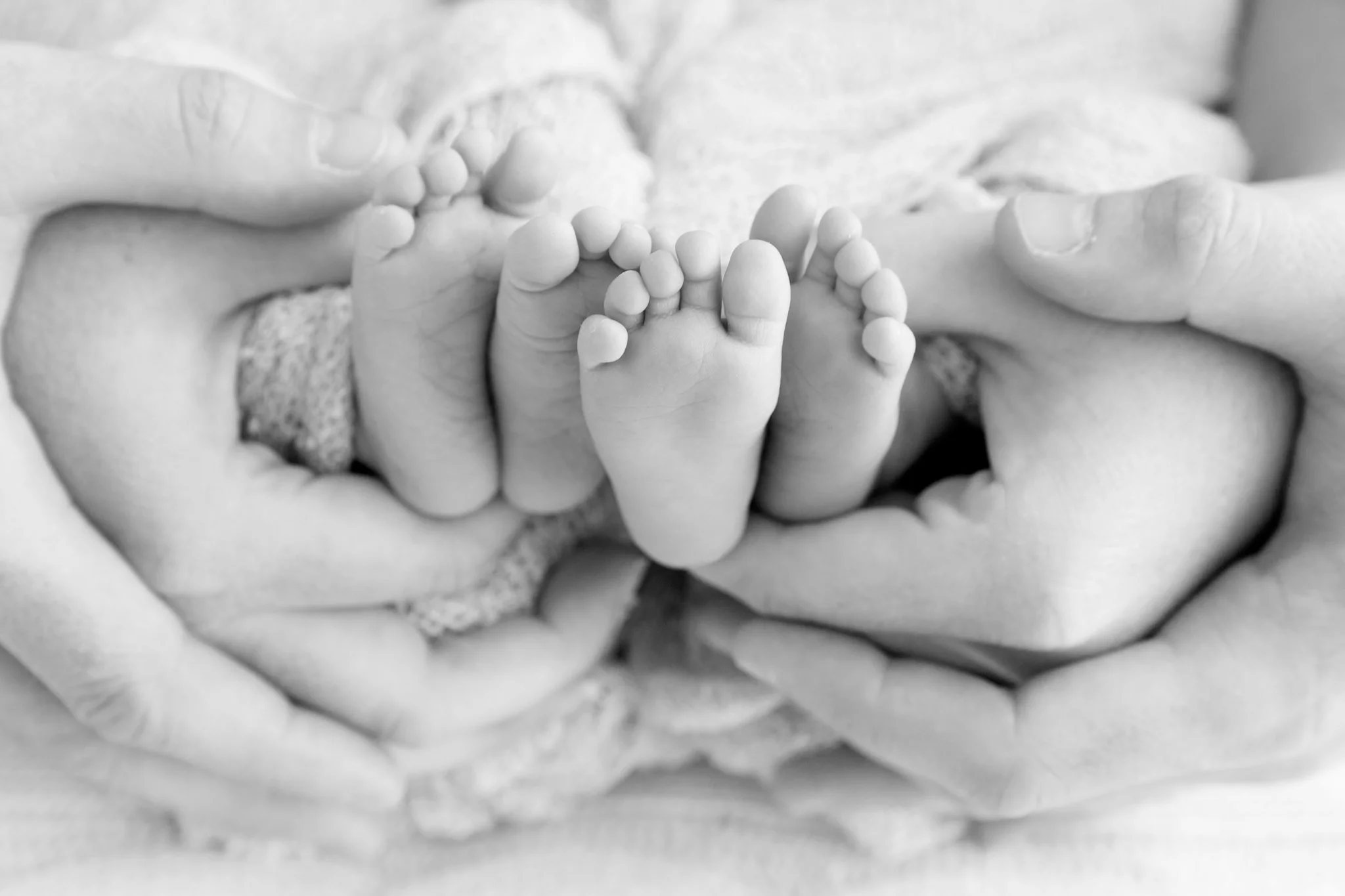 Canberra newborn twin photography - toes with parents hands wrapped around them.