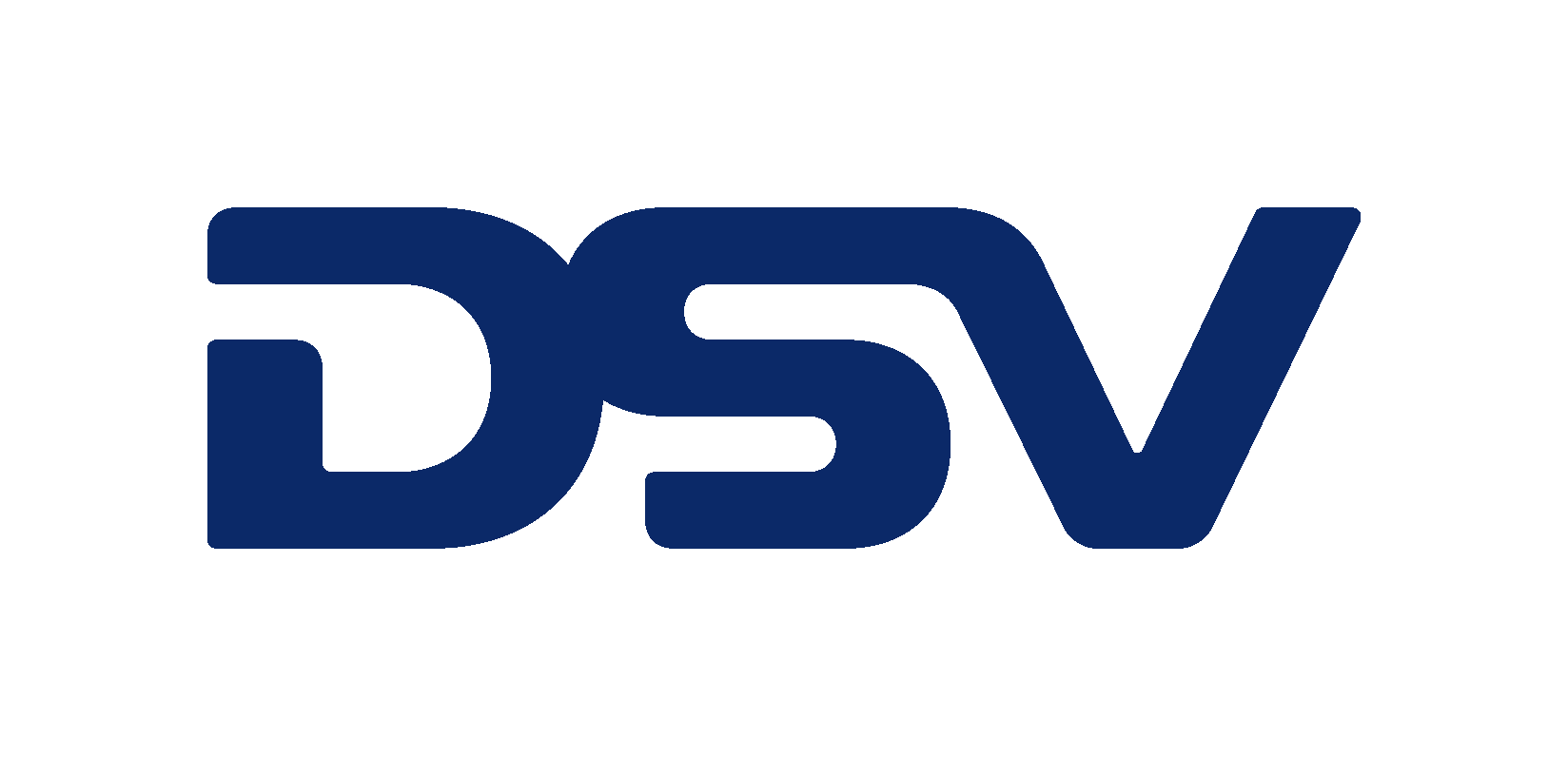 DSV logo - no payoff png.png