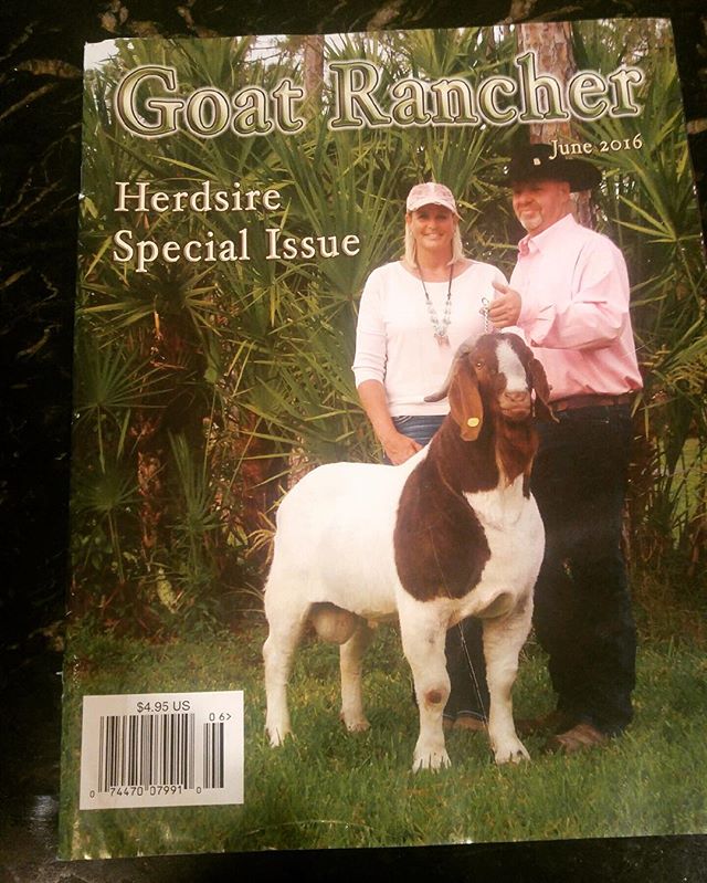 How do you know when you're a BIG deal? 
When you've made the cover of Goat Rancher magazine. 
That's how. 🐐

#goatrancher #herdshirespecialissue #june2016 #goatsandhoes #thatsahugebitch #thegoat #notmichelle  #nicegoatee #iGOATtosayit #goatpunsaref