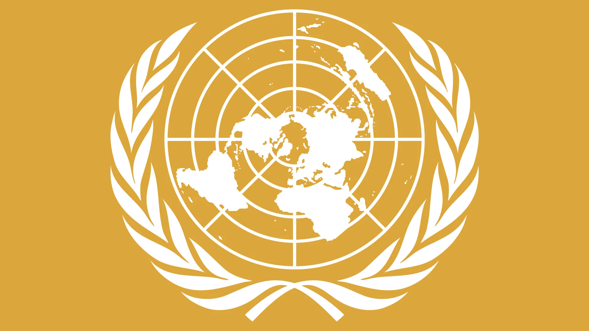 Case Study: United Nations