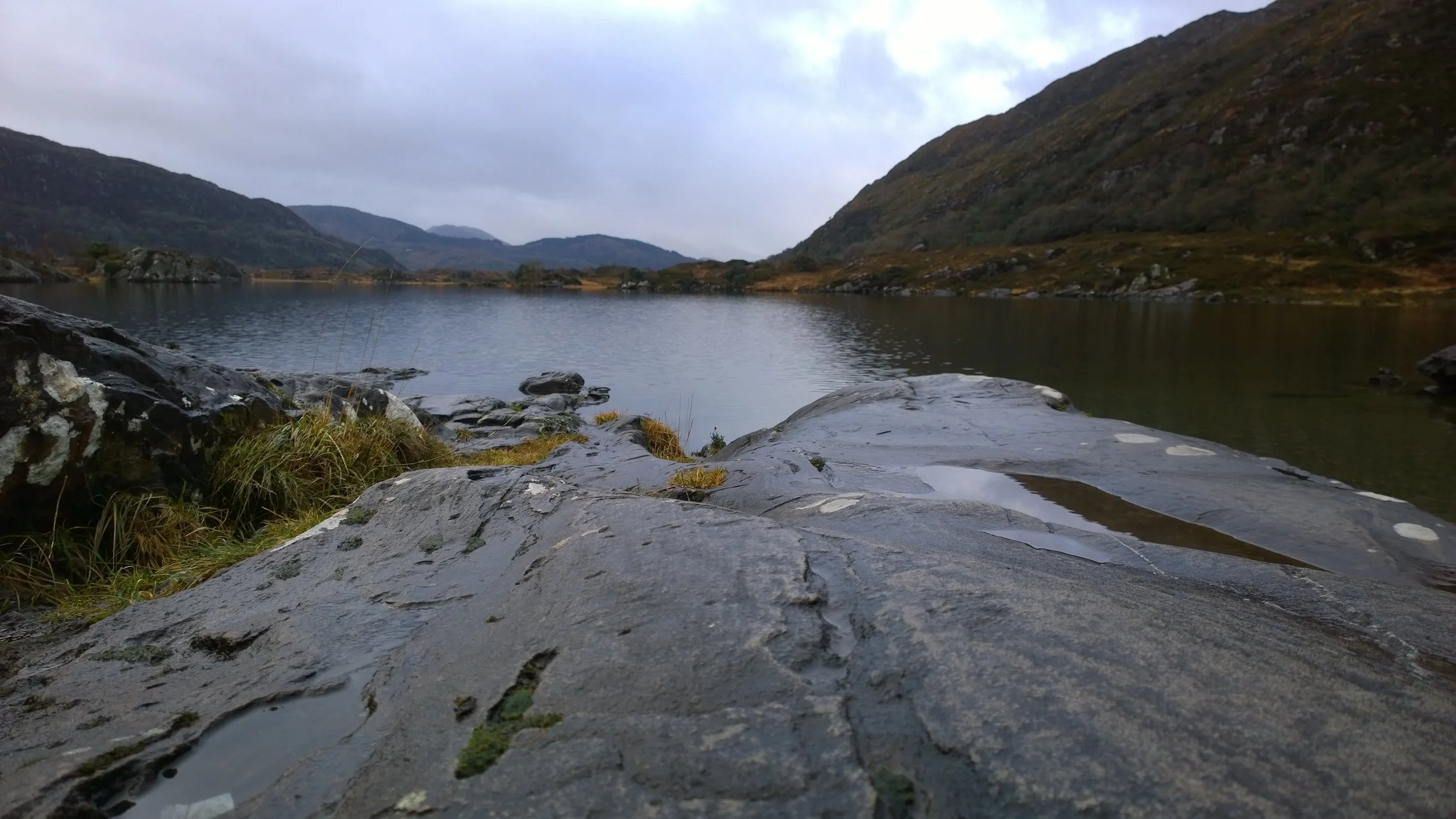 WP_20140110_067.jpg