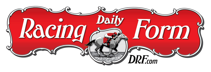 sponsor-logo-drf.png