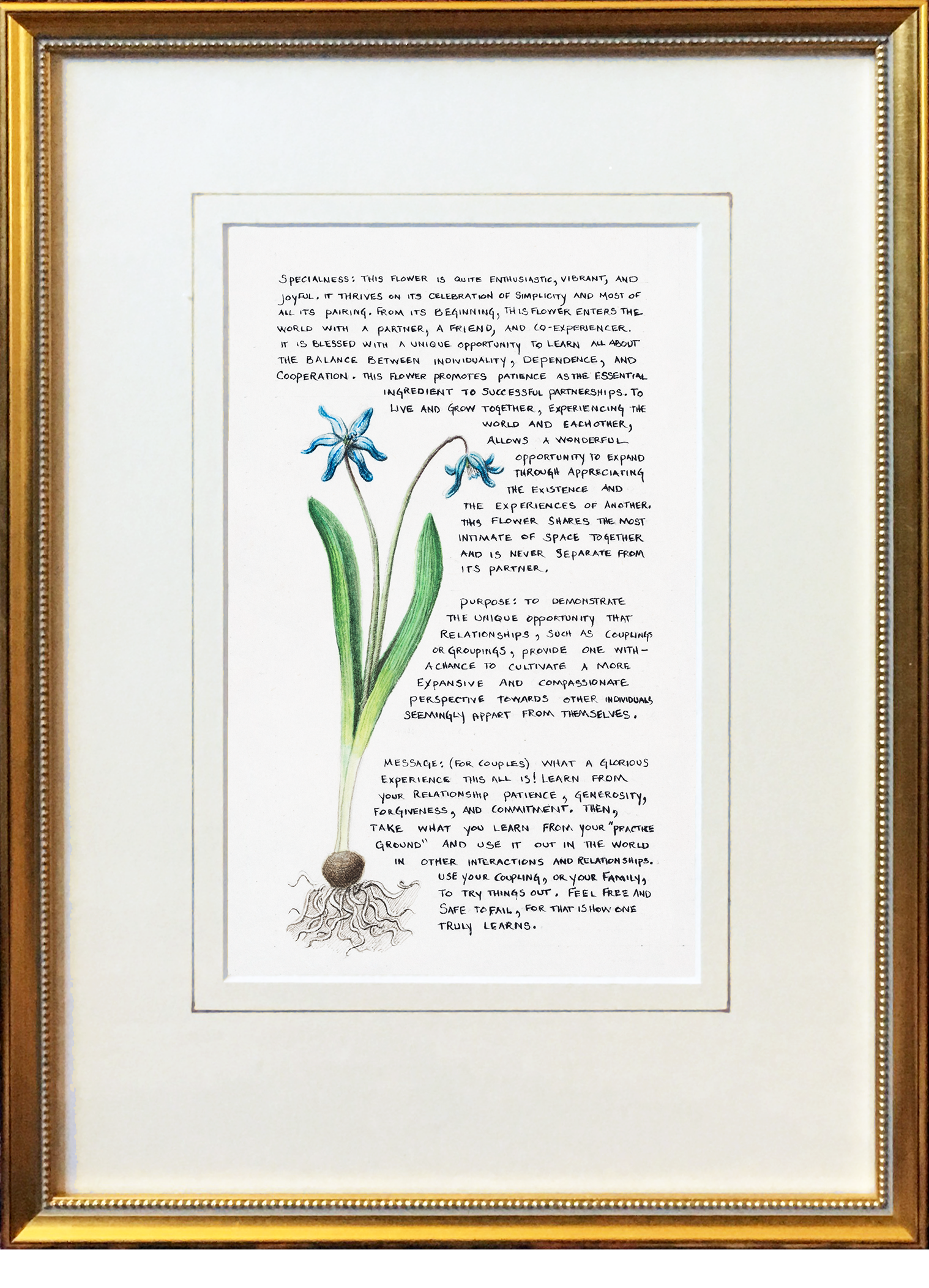 framed coupling flower.png
