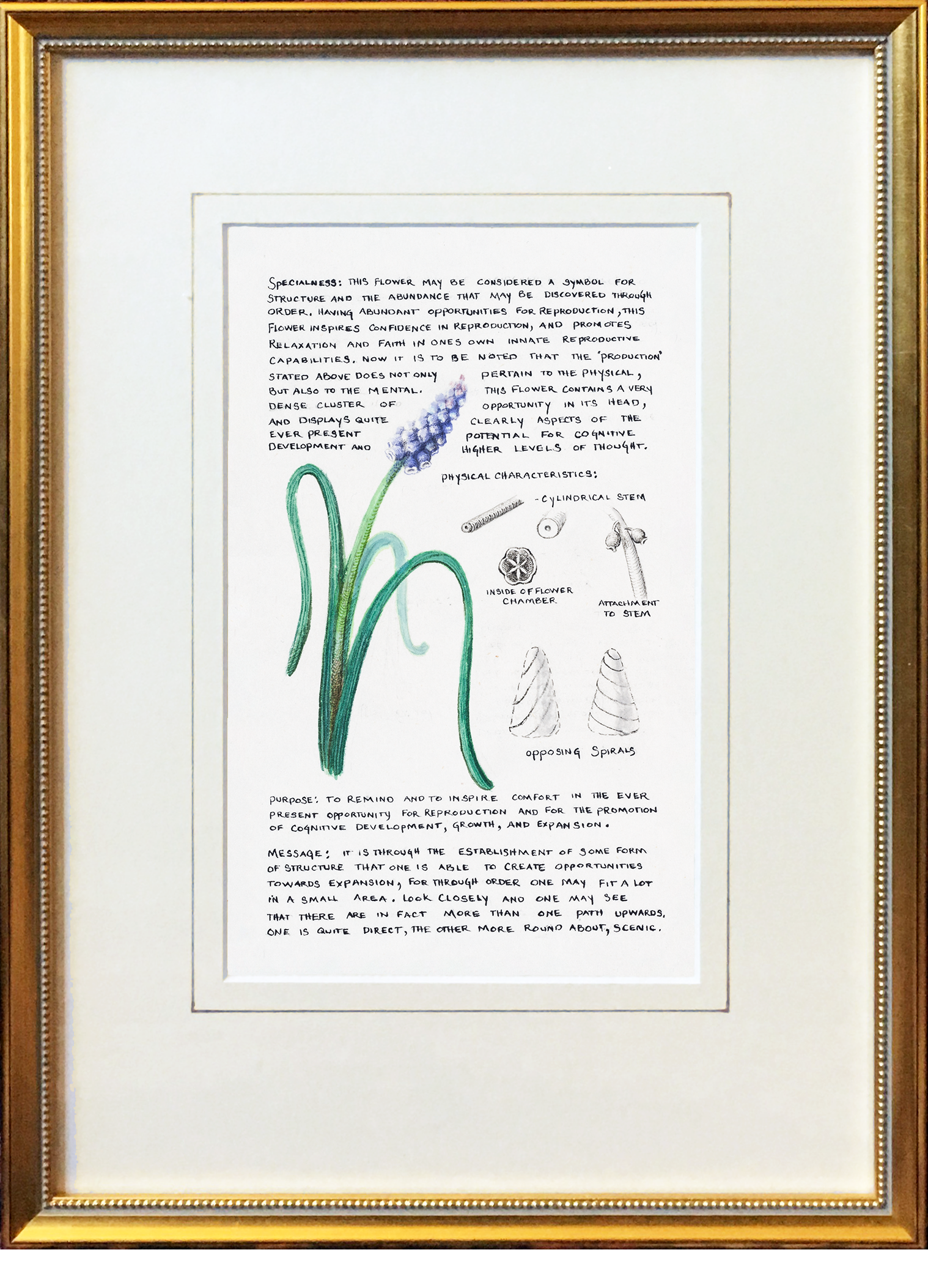 framed fertility flower.png