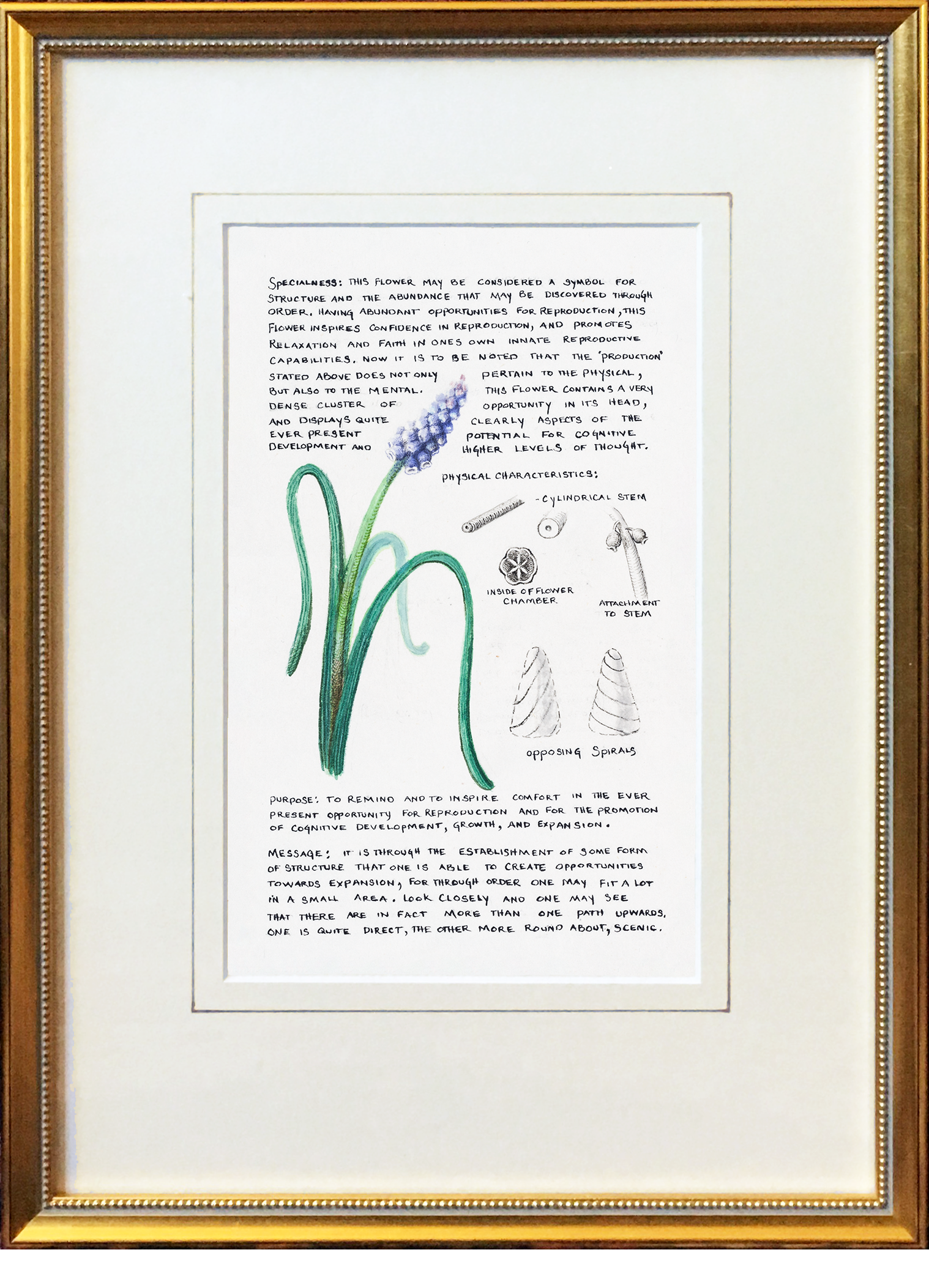 framed fertility flower.png