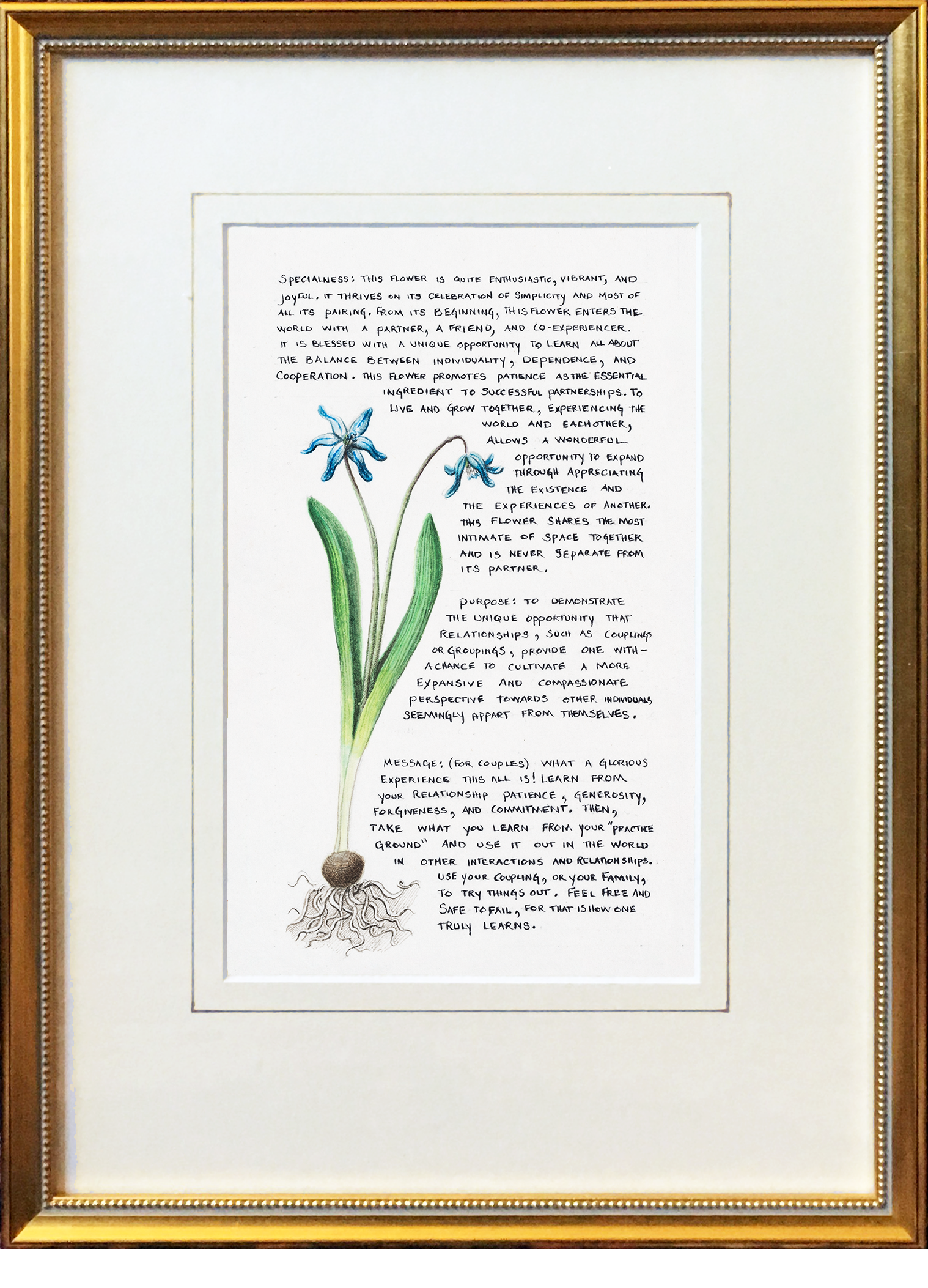 framed coupling flower.png