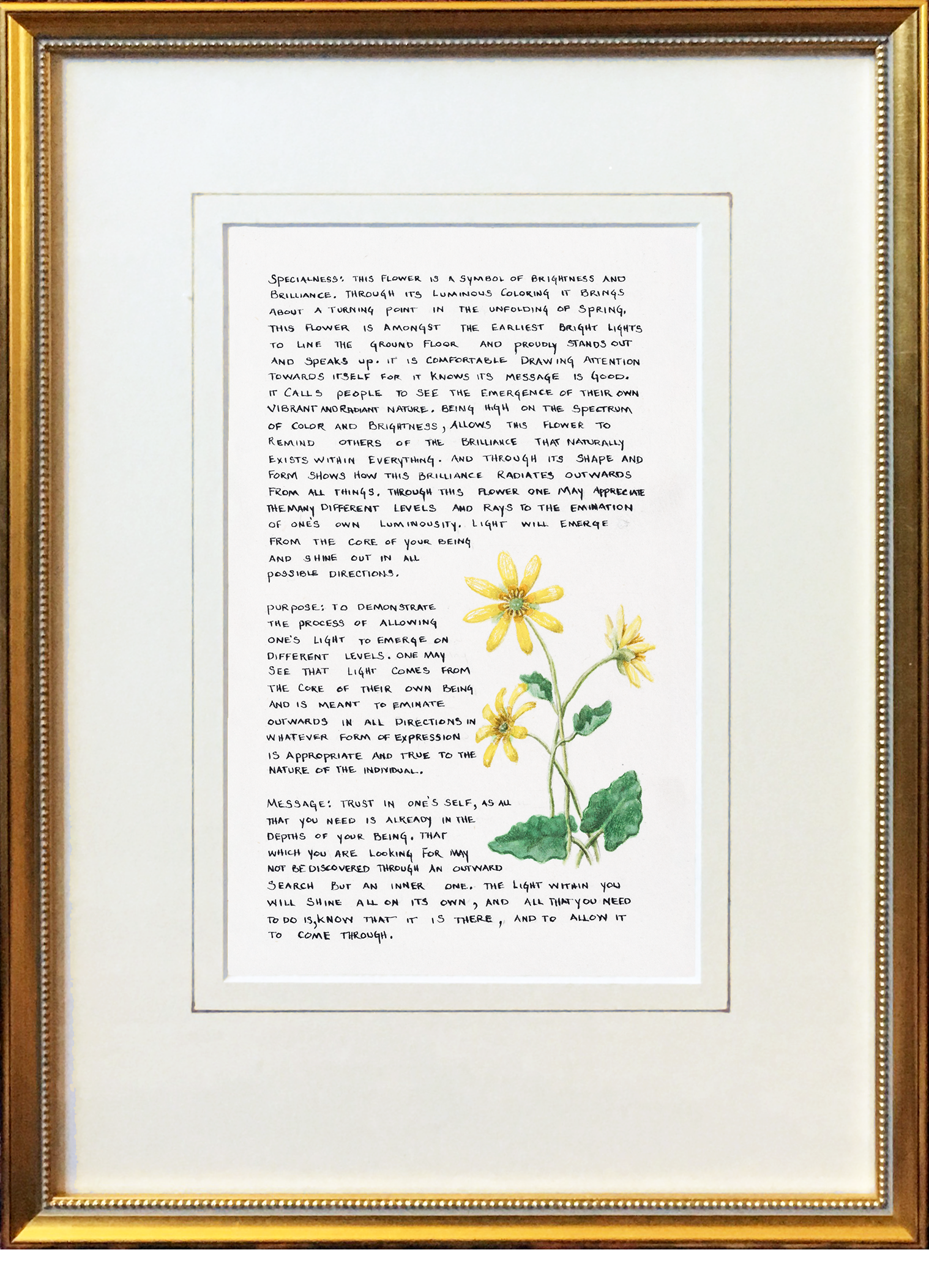 Jonathan Sherman_framed inner radiance flower.png