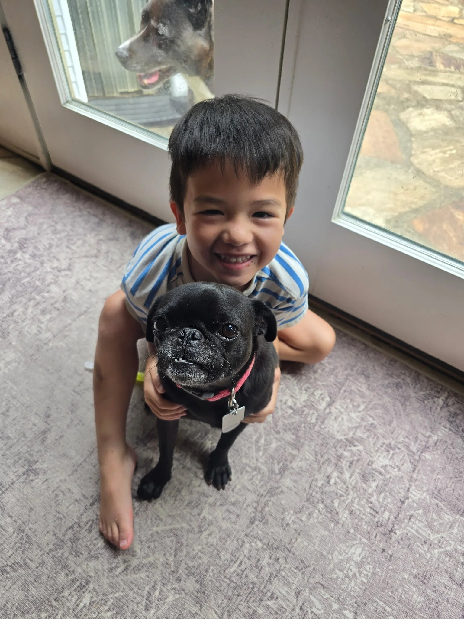 b daphne gracie.jpeg