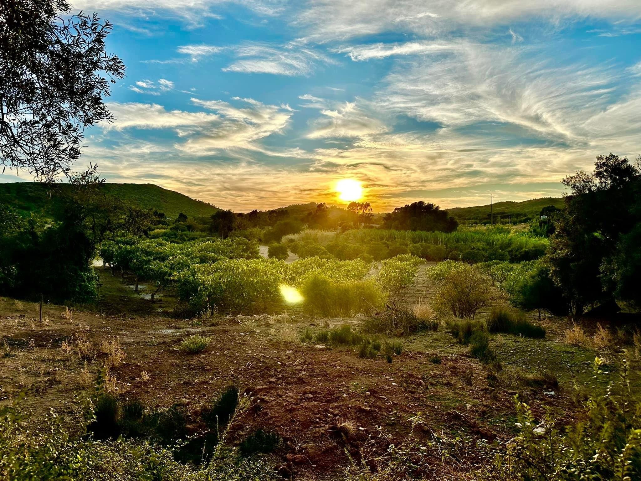 Maglinger Portugal