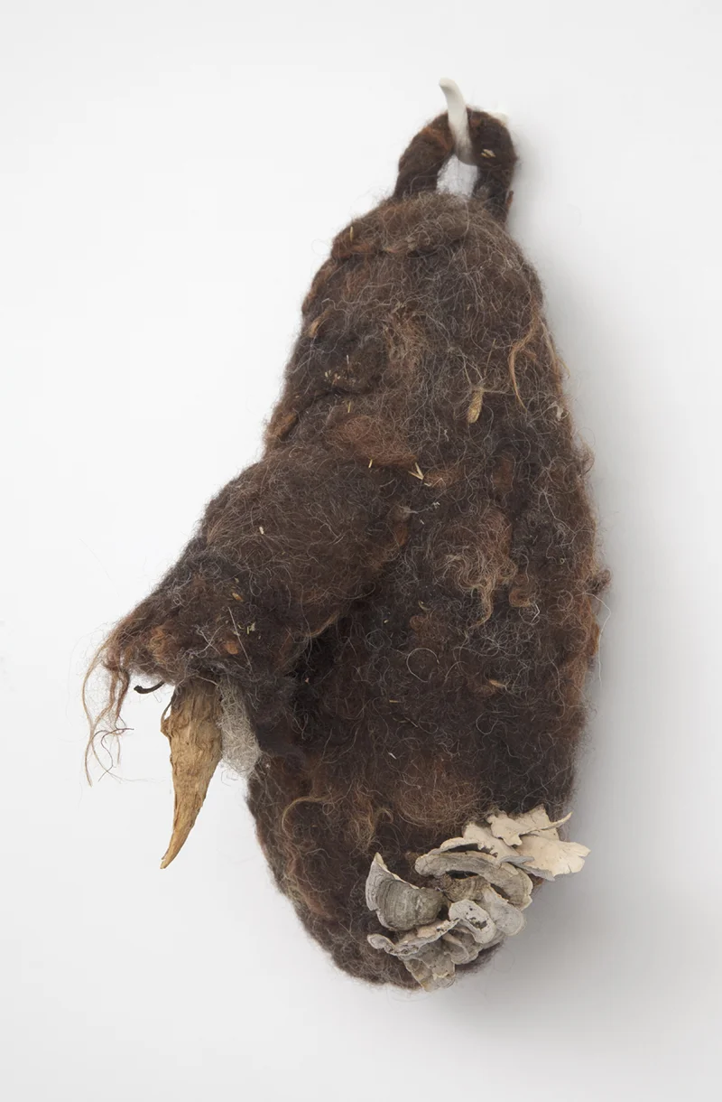 Night Nest