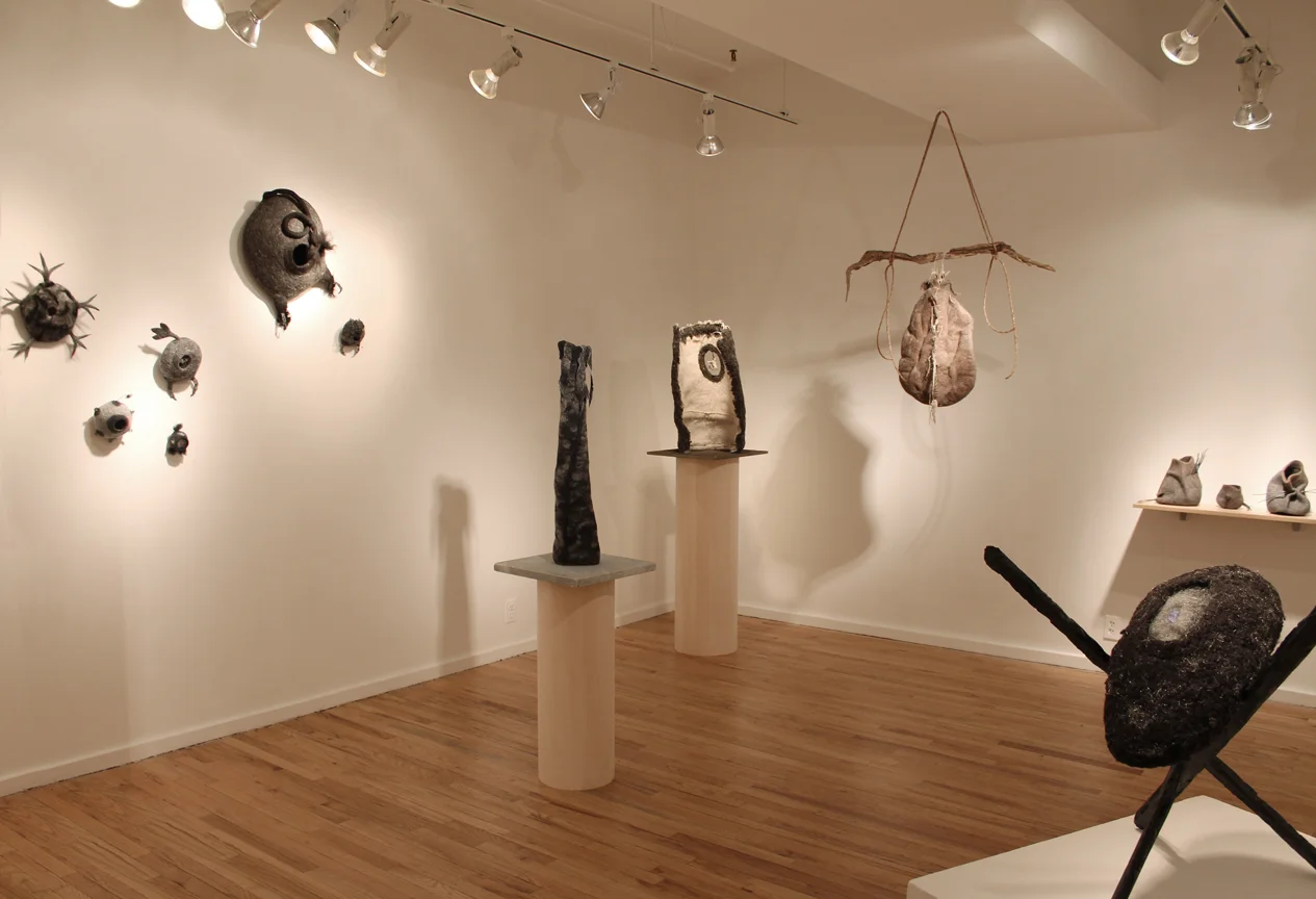 Susan kaplow, out of bounds, Ceres gallery 