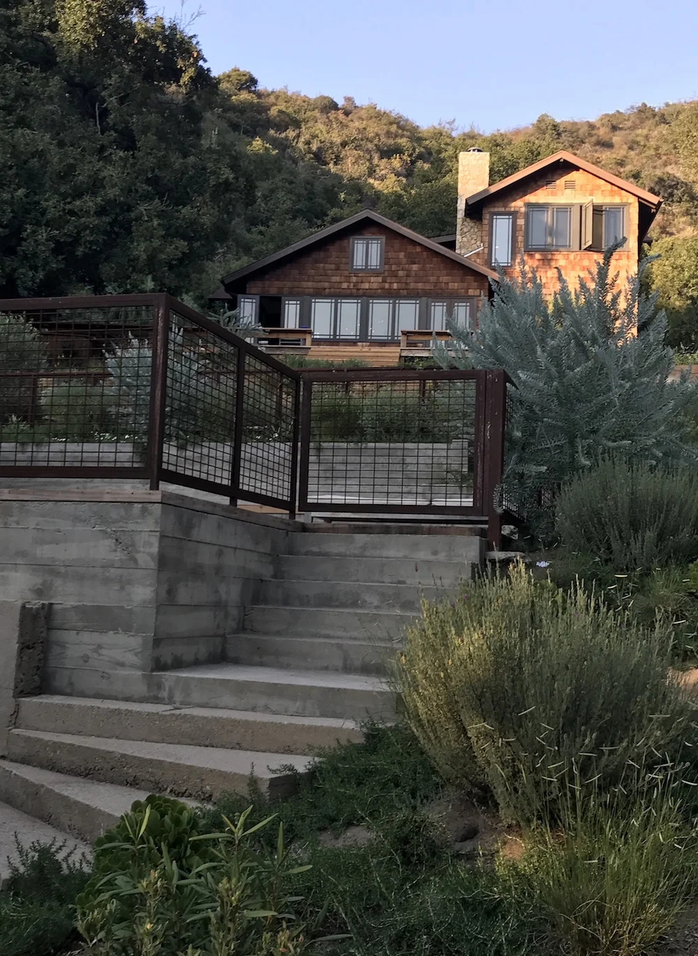 Native (Beverly) Hills