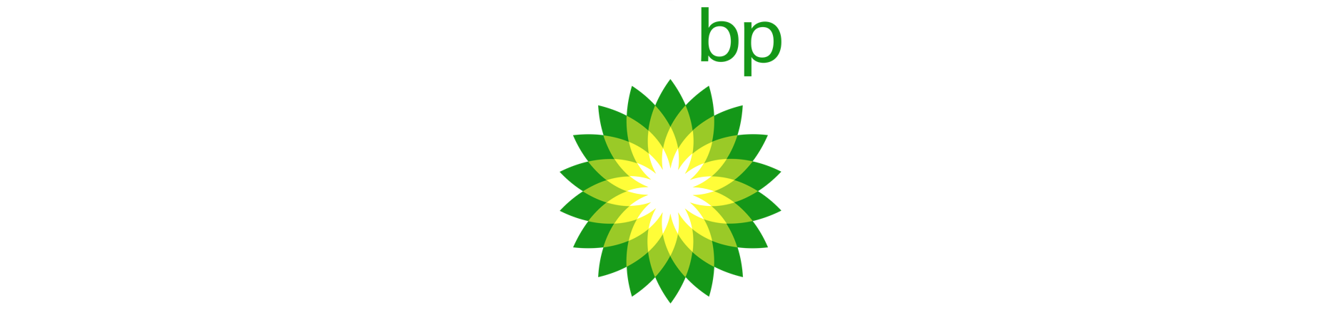 bp logo for website banner.png