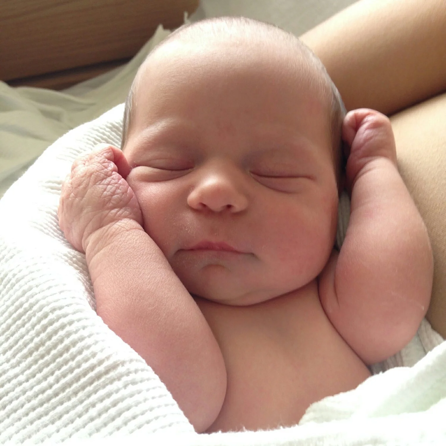 Laya Aster,  Day 1