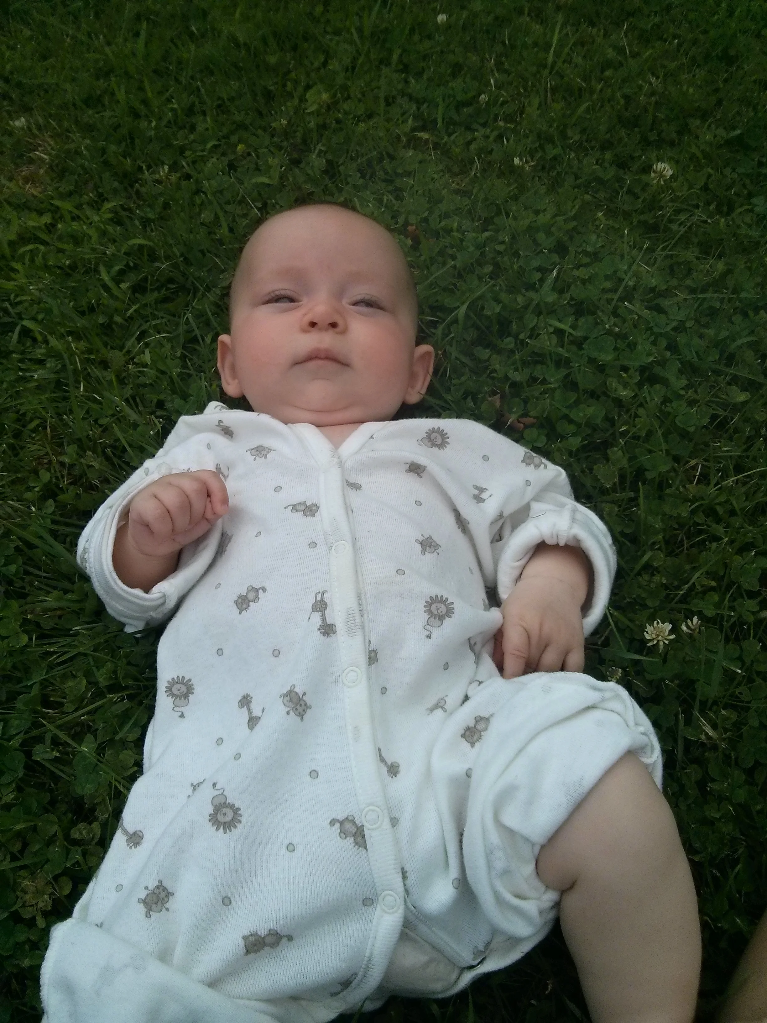 Little monk baby in the grass, Hanford Mills