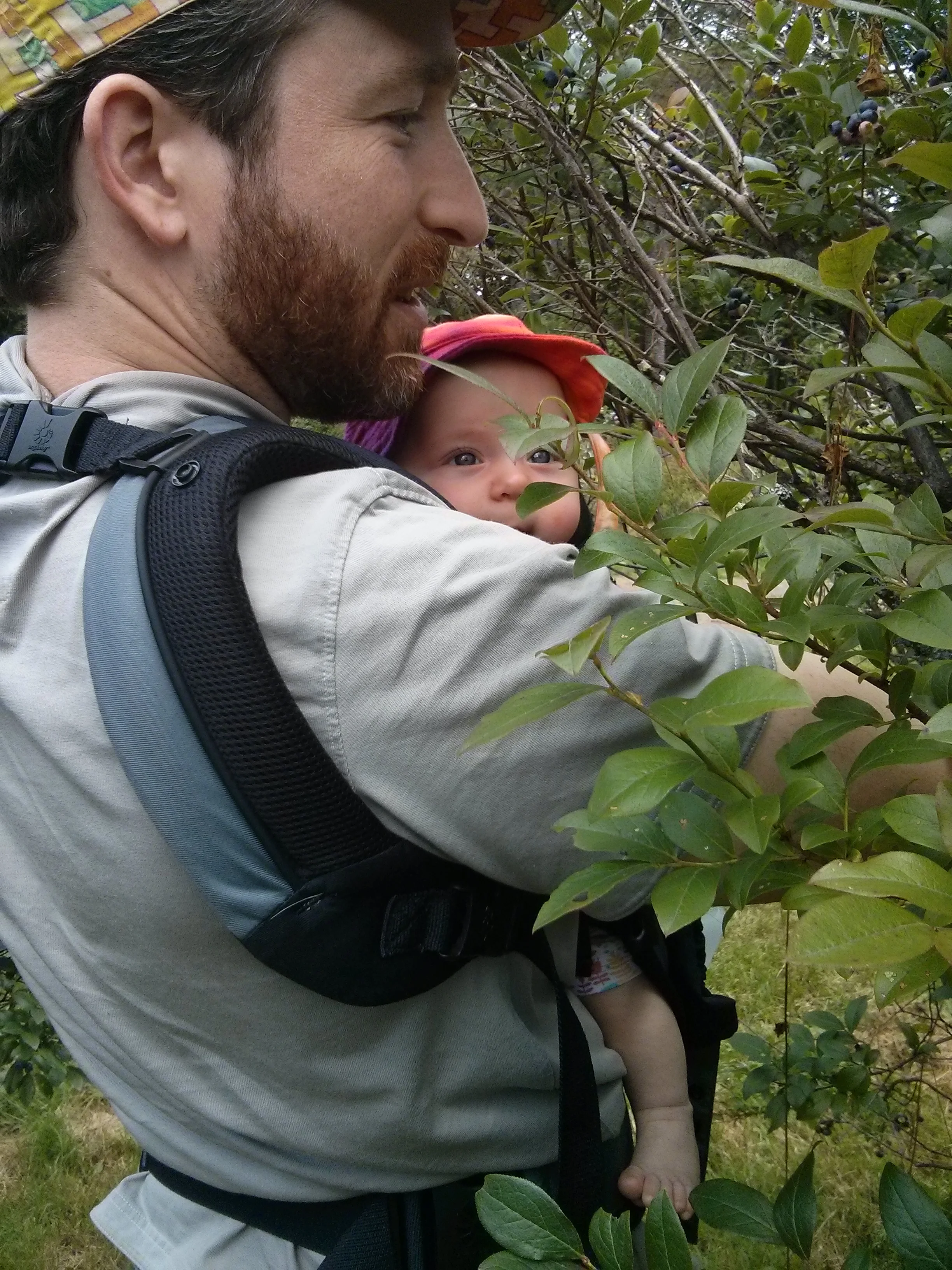 Blueberry pickin'