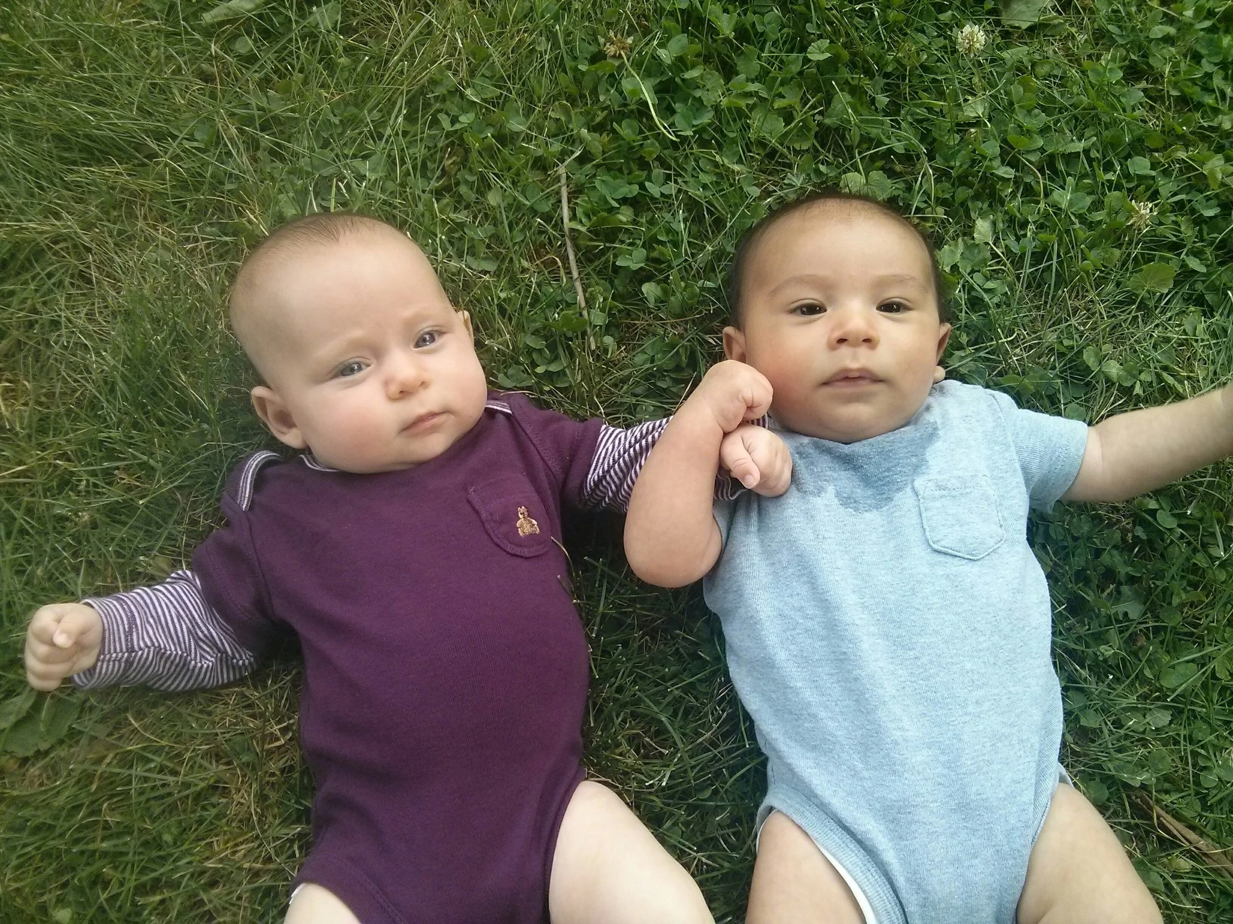 Little friends