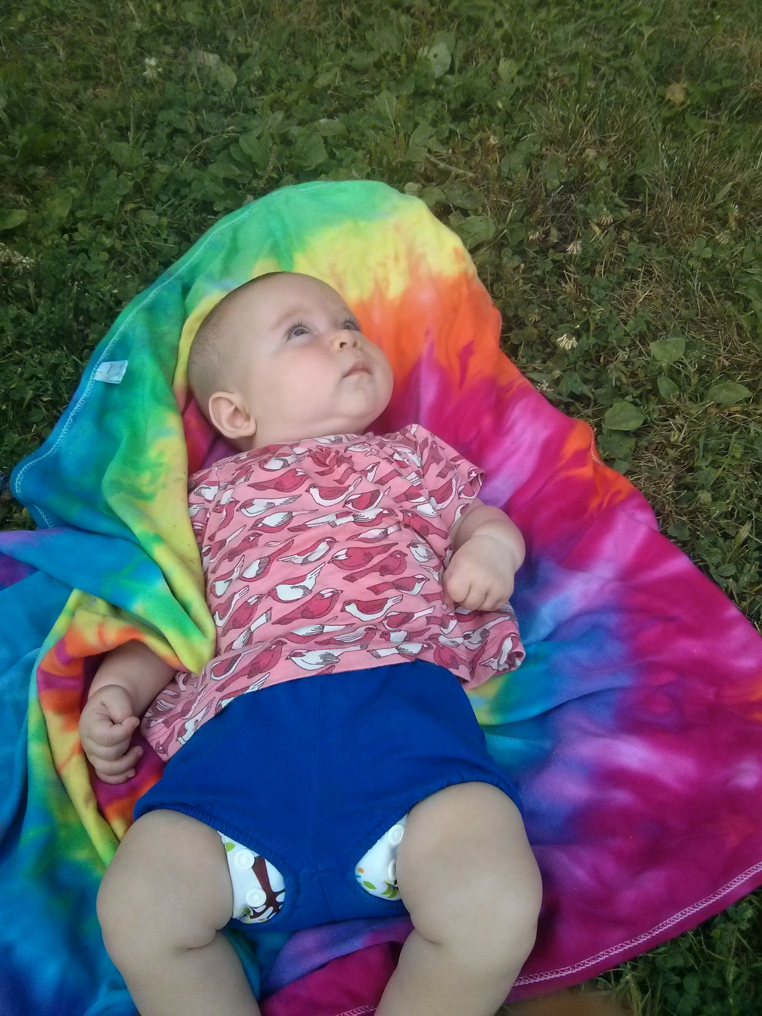 So much COLOR!