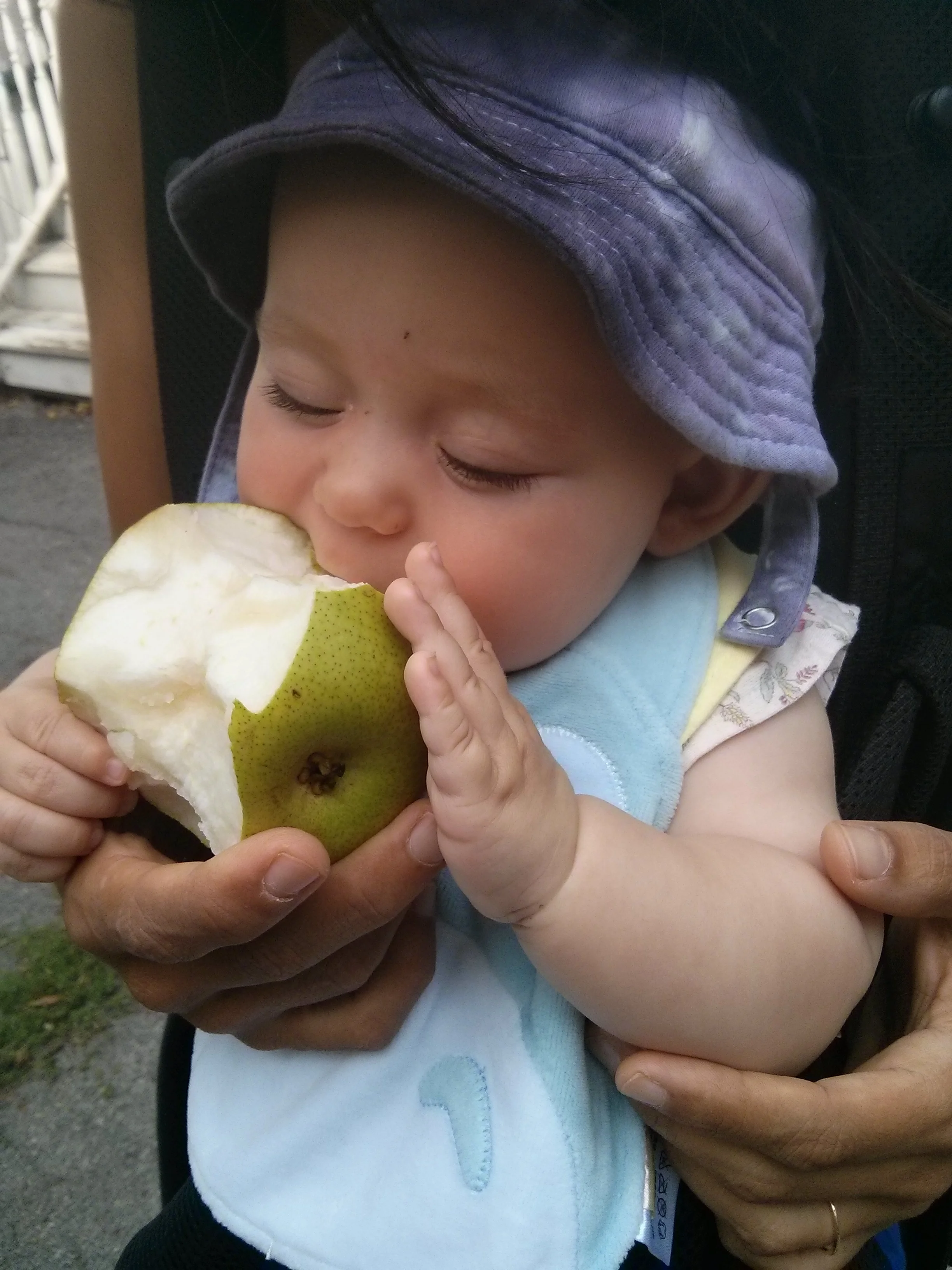 Nomming! Not eating, quite yet...9/26/15