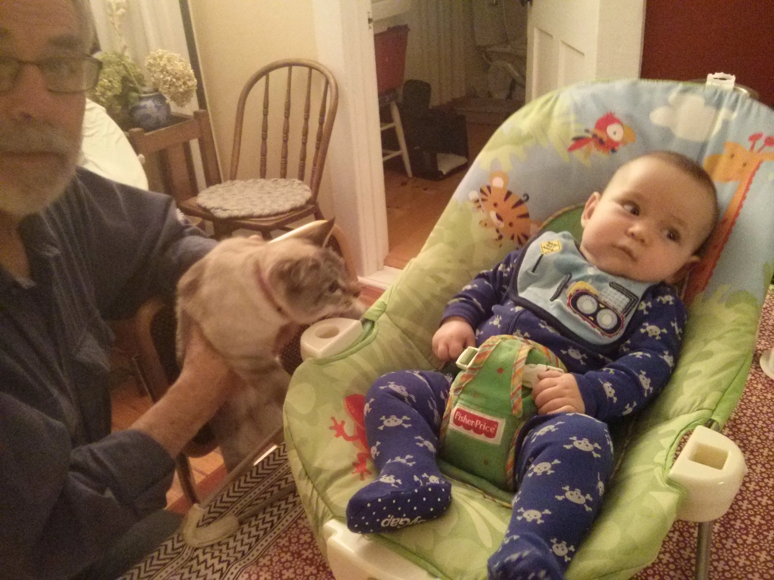 Lulu and Laya, 9/29/15