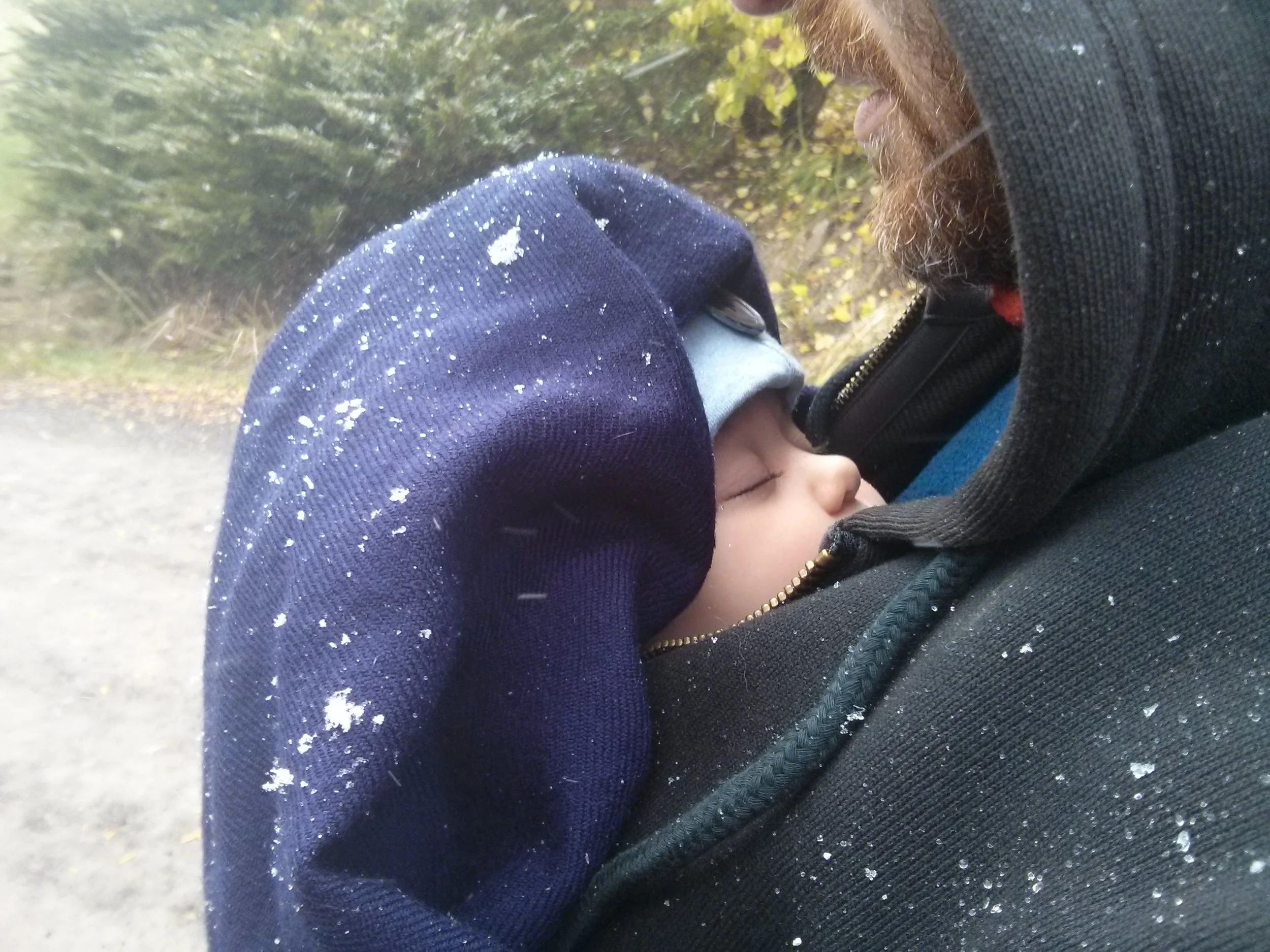 Sleeping in the snow, 10/18/2015