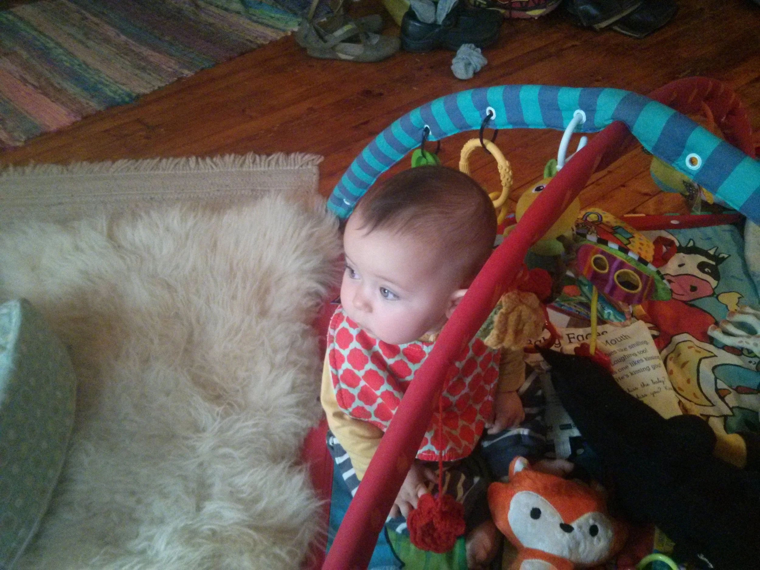Pondering the world 1, 10/24/2015