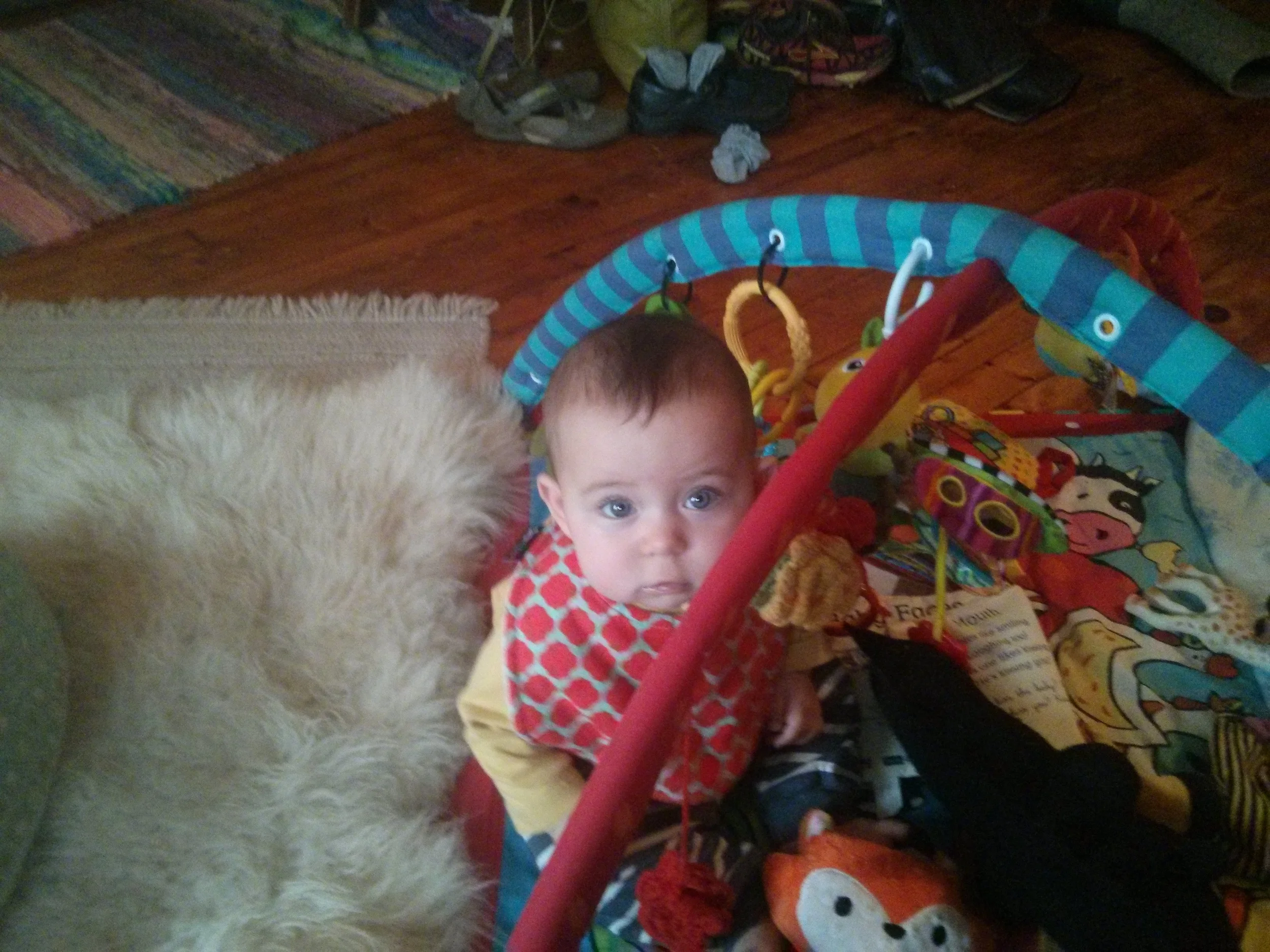 Pondering the world 2, 10/24/2015