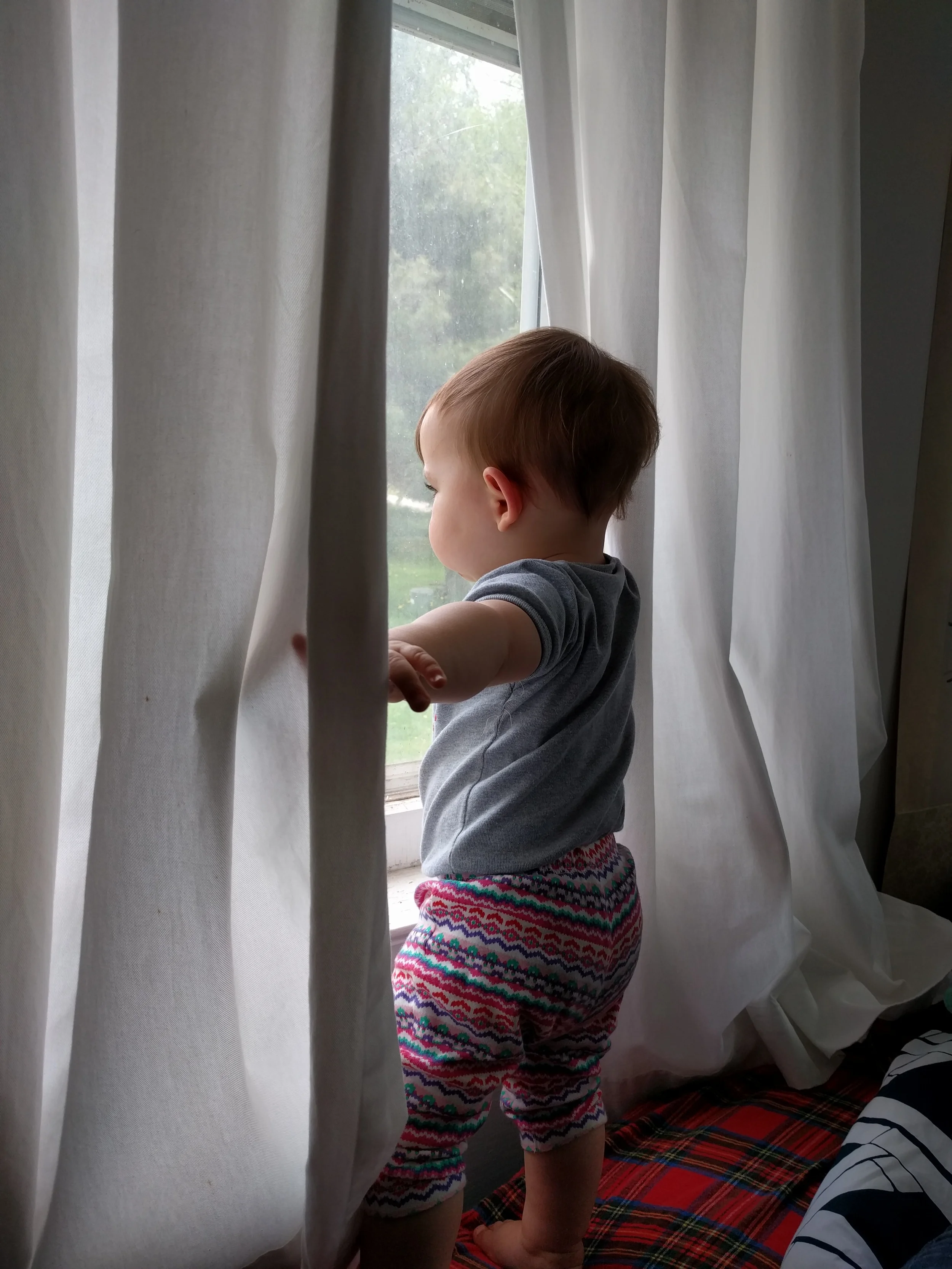Summer country window