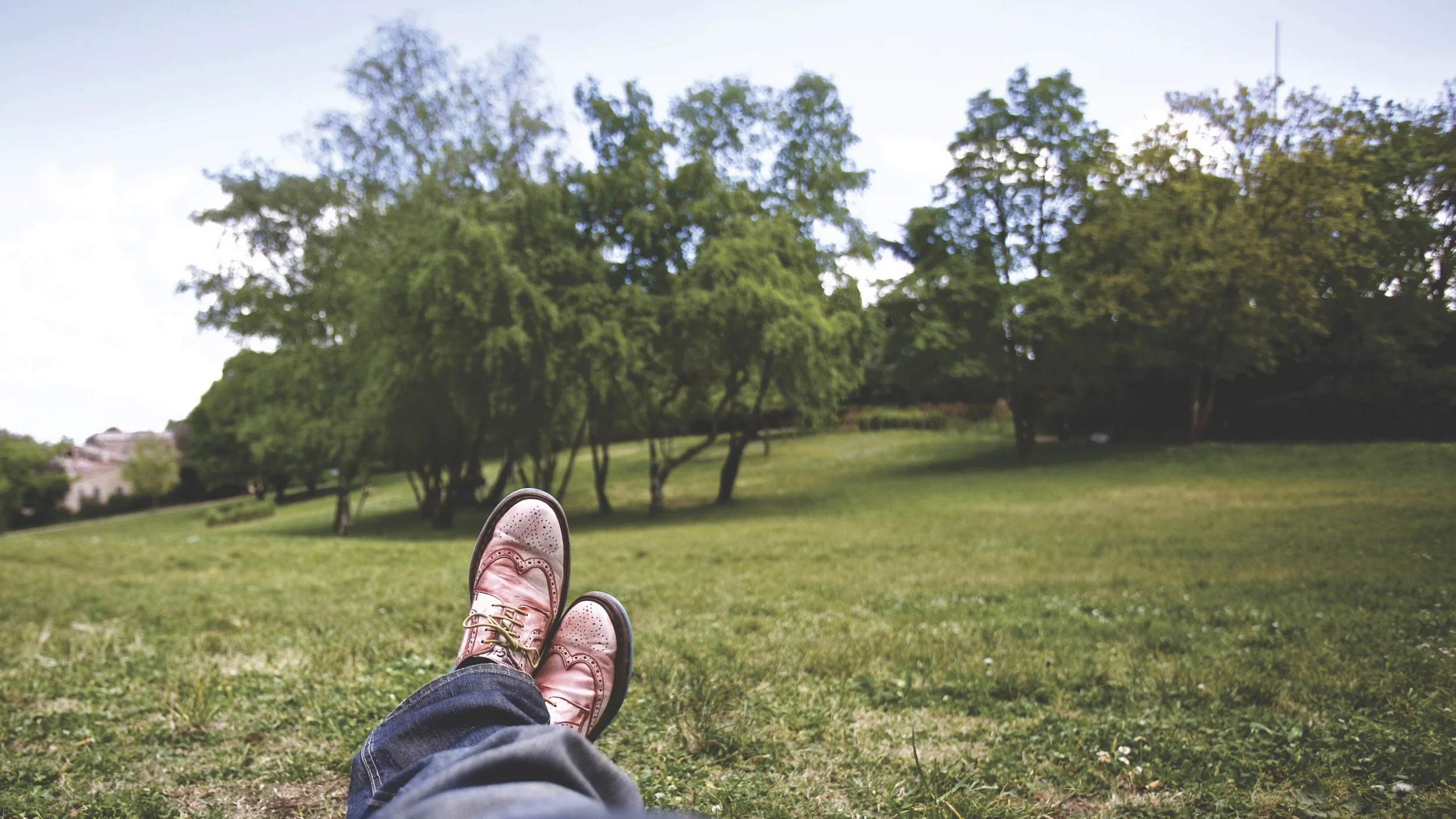 feet-grass-shoes-trees.jpg