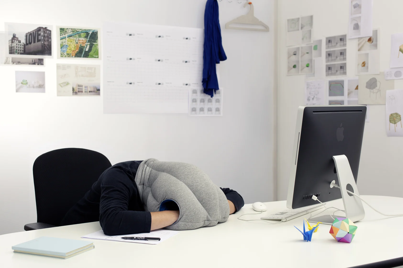 ostritch pillow.jpg