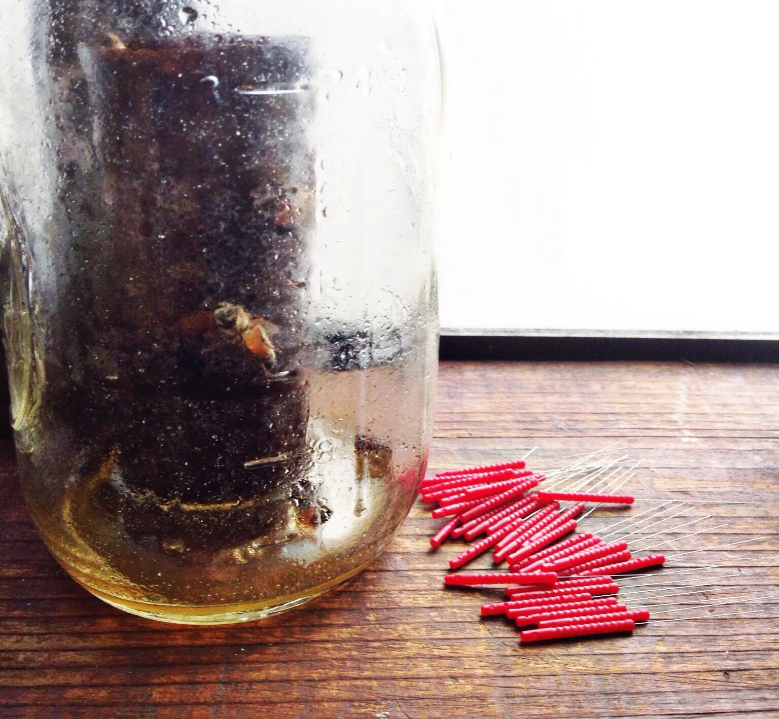 Bee Venom Therapy