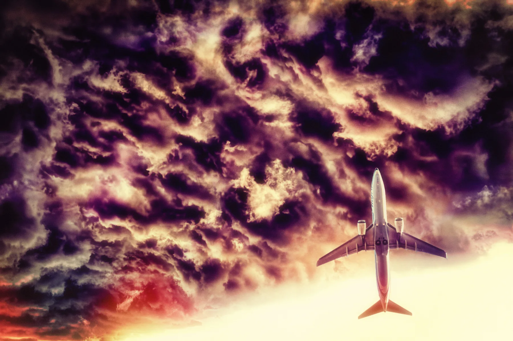 Flight Risk-3.jpg