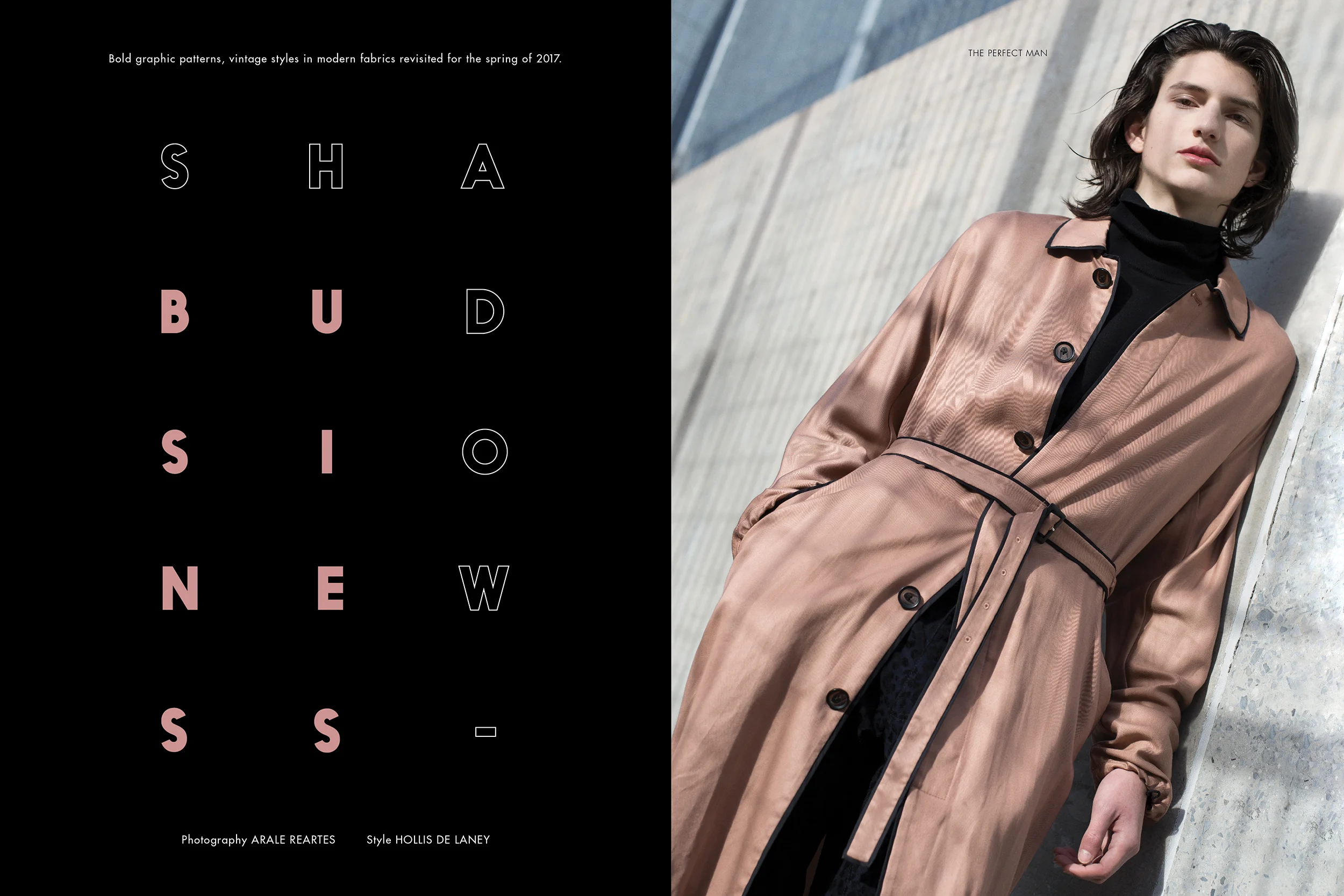 Shadow Business - The New Spring Modern