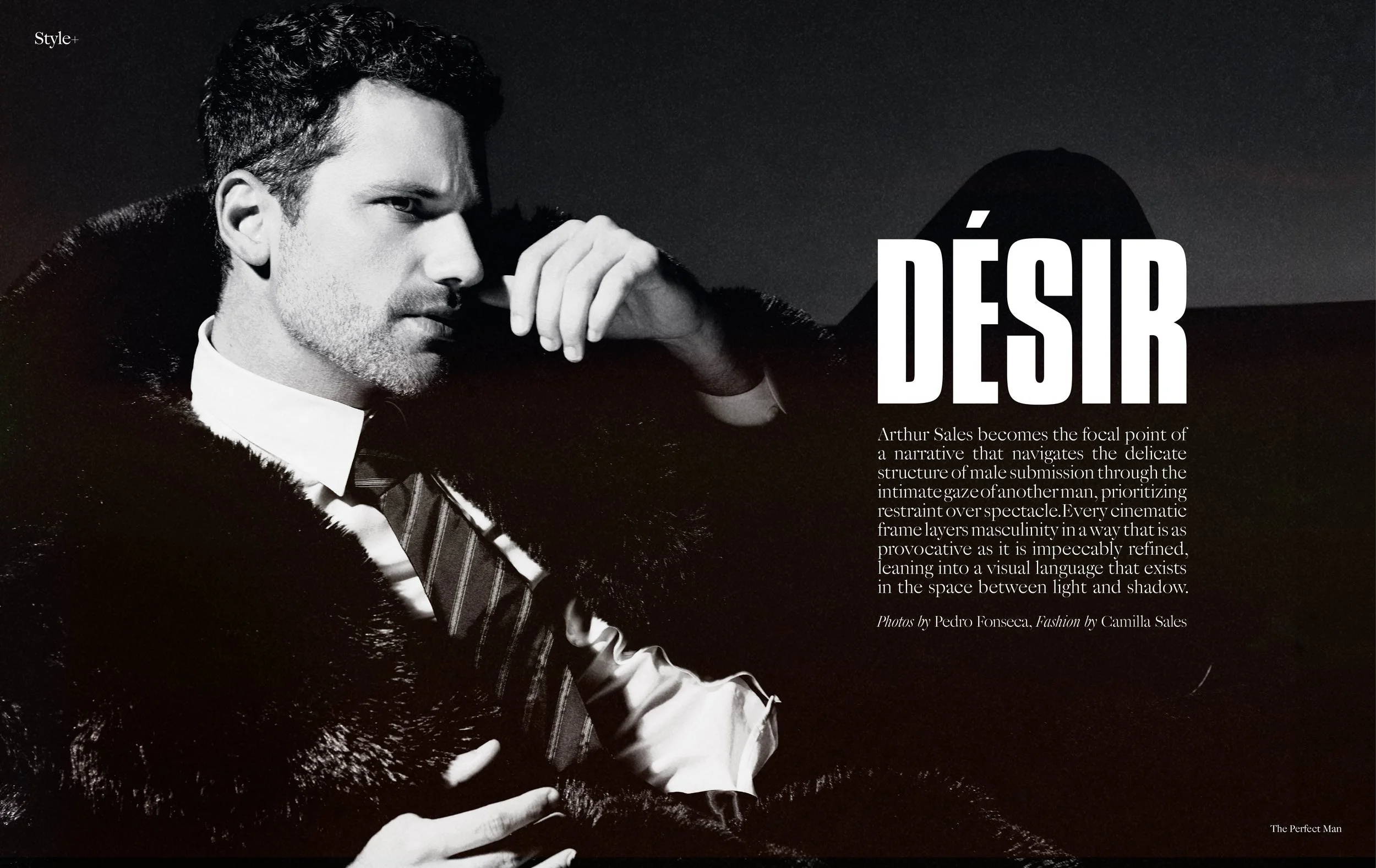 ThePerfectMan-DesirSombre.jpg