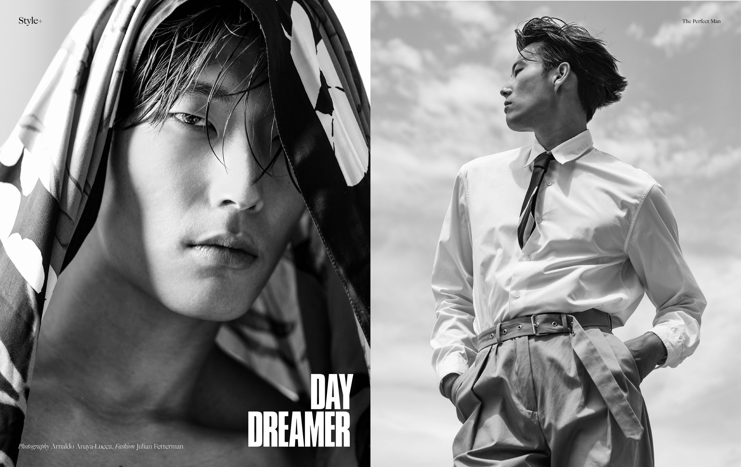 ThePerfectMan-DayDreamer.jpg