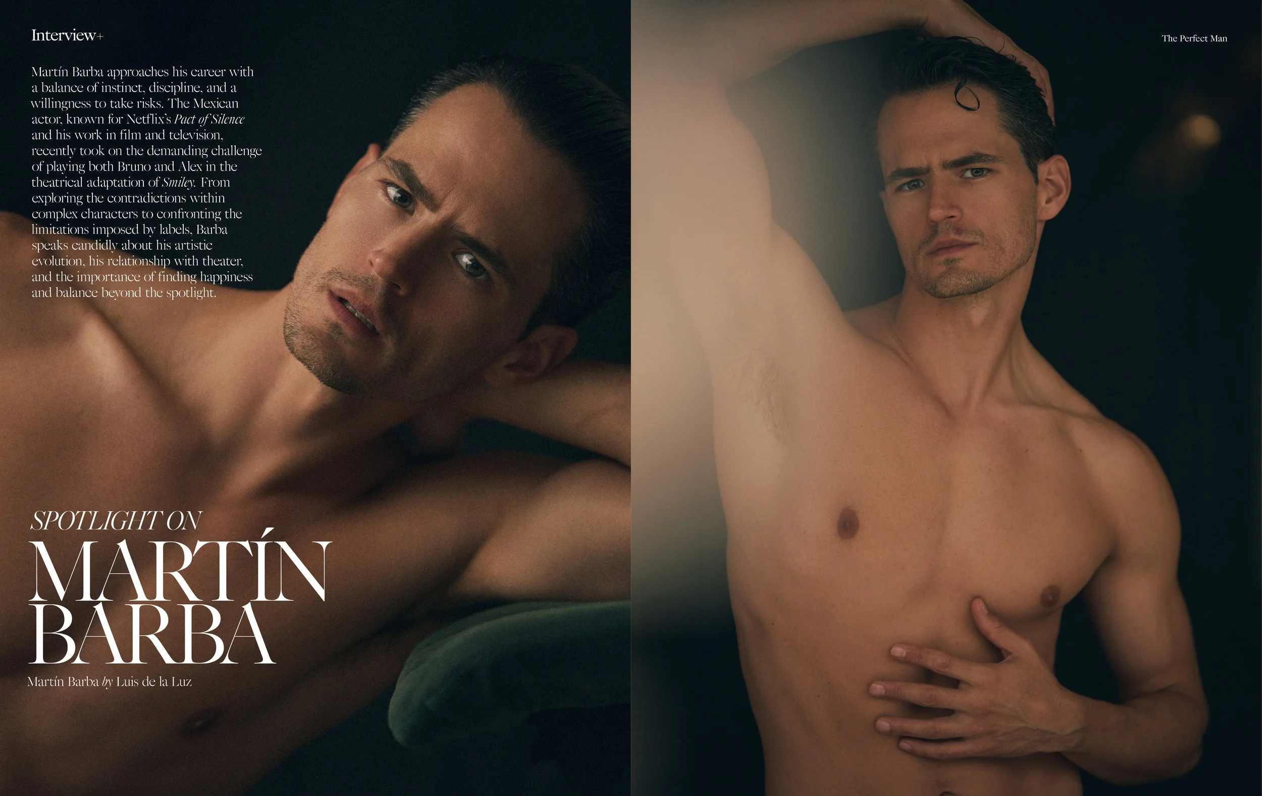 ThePerfectMan-MartinBarba.jpg