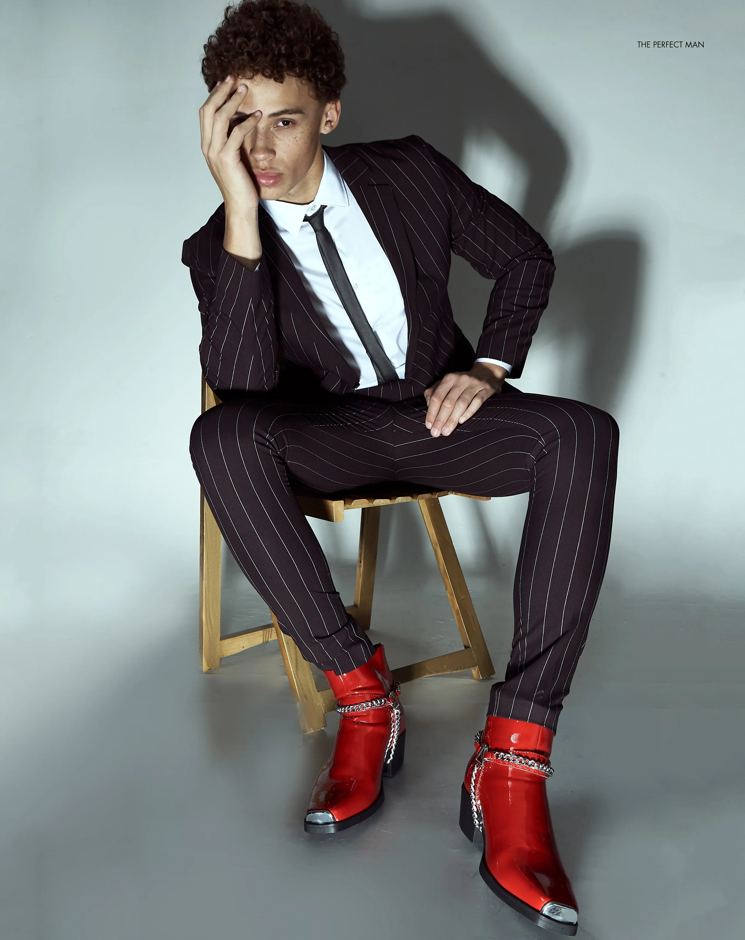 THE PERFECT MAN — The Perfect Man Magazine