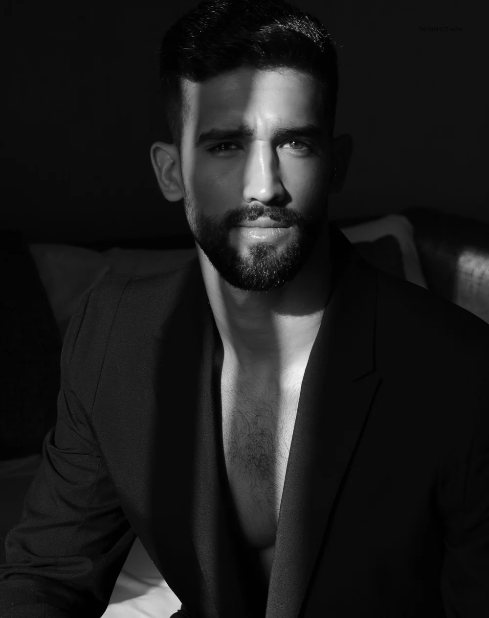 THE PERFECT MAN — The Perfect Man Magazine