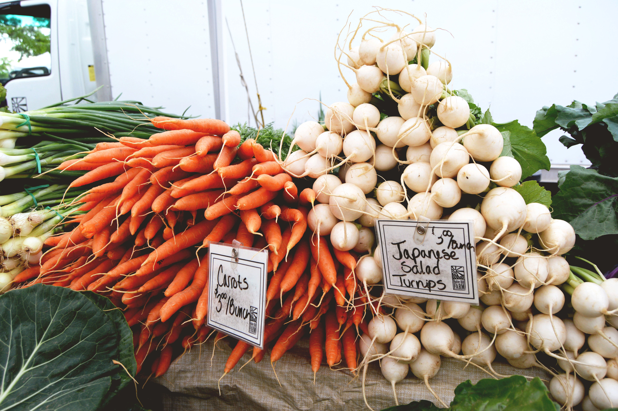 Carrots are here!