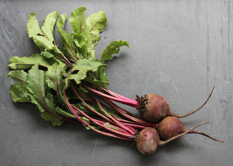 SFC_beets.jpg
