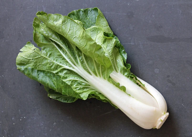 SFC_bok_choy.jpg