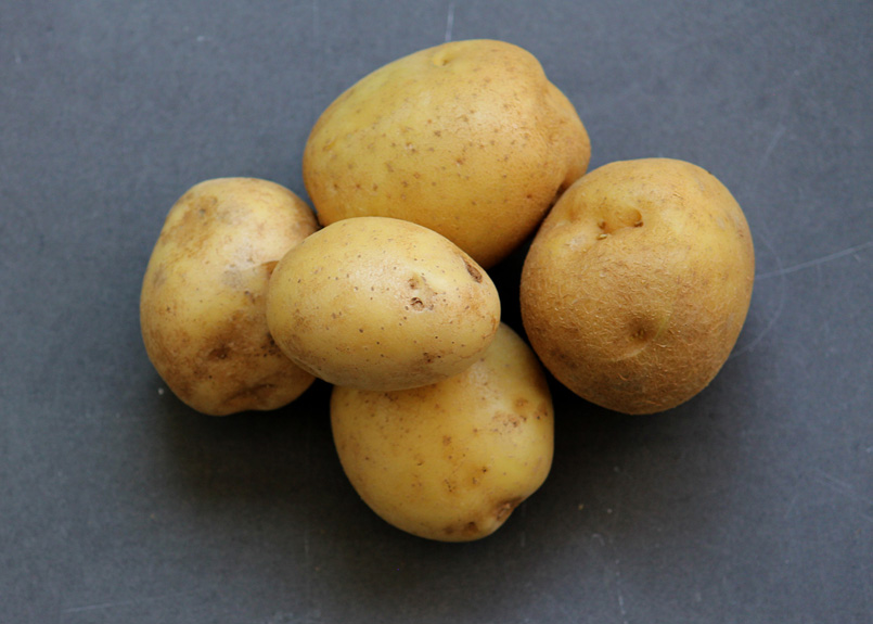 SFC_potato_gold.jpg