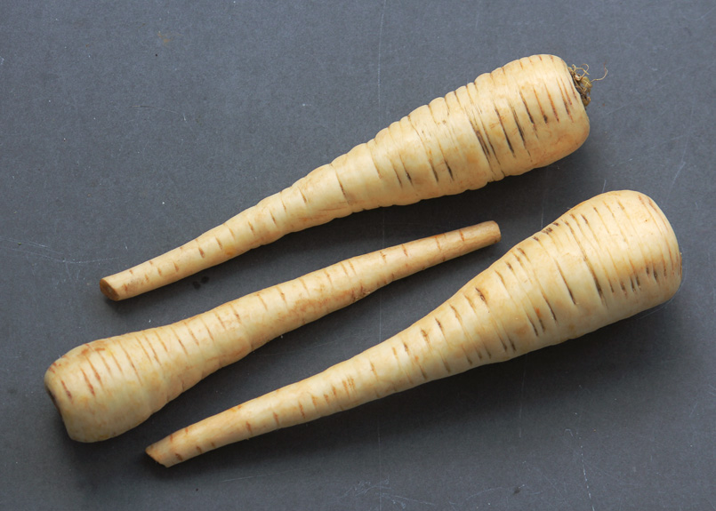 Parsnip