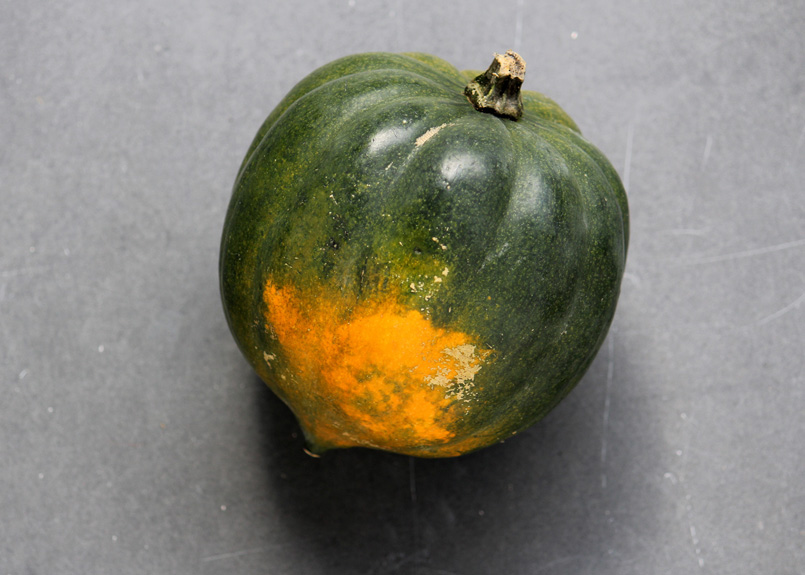 Acorn Squash