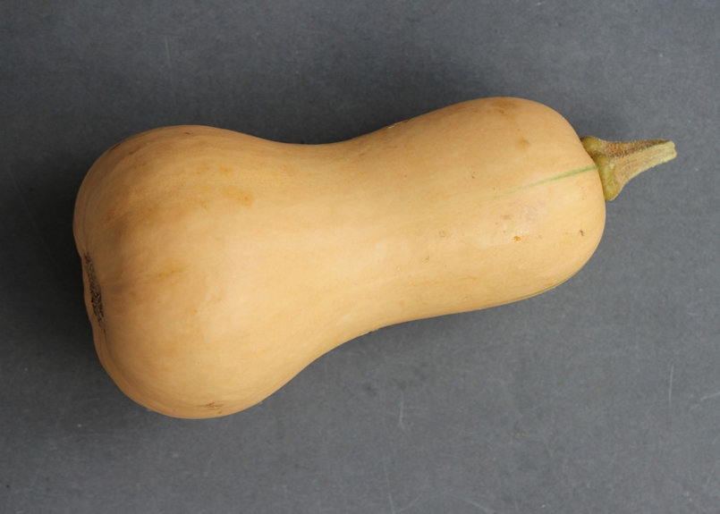 Butternut Squash