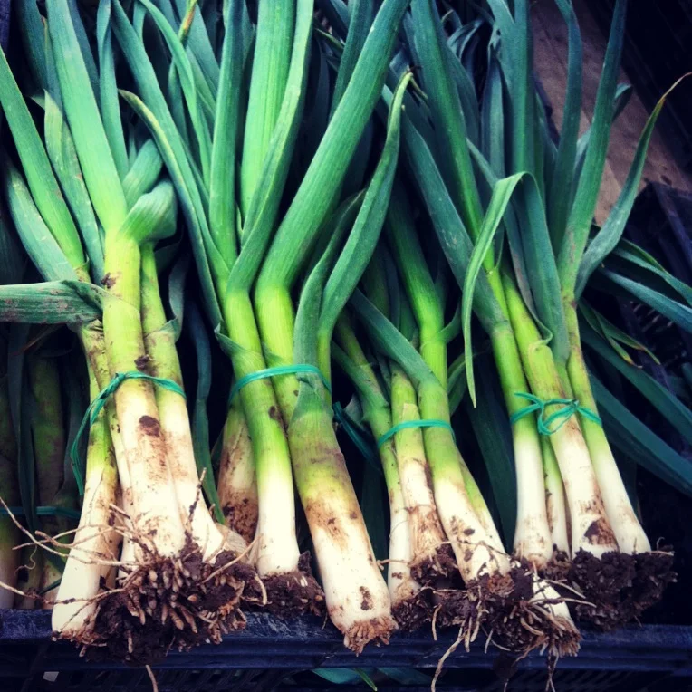 Photo by Farmer Olivia.