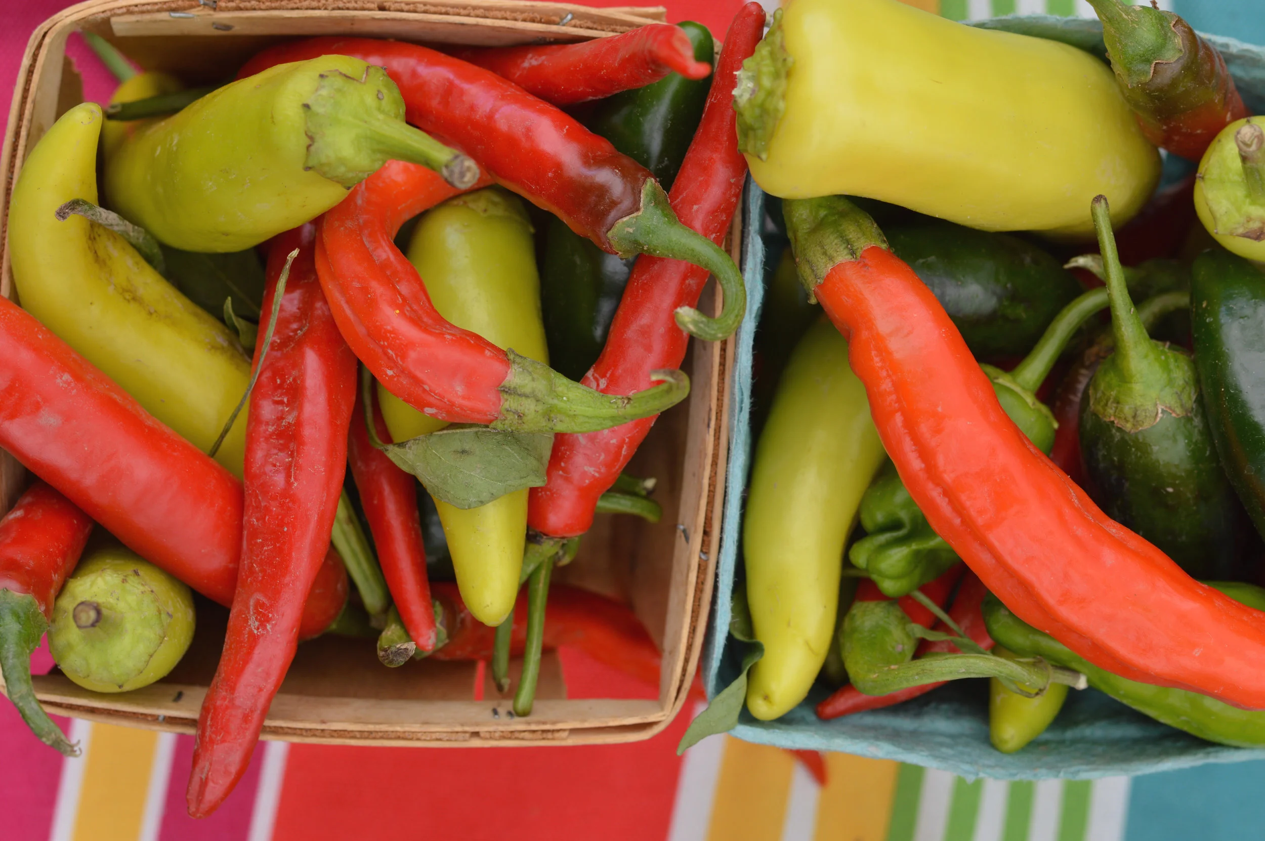 Farm fresh peppers (Photo by Cliff Cottage Collective)
